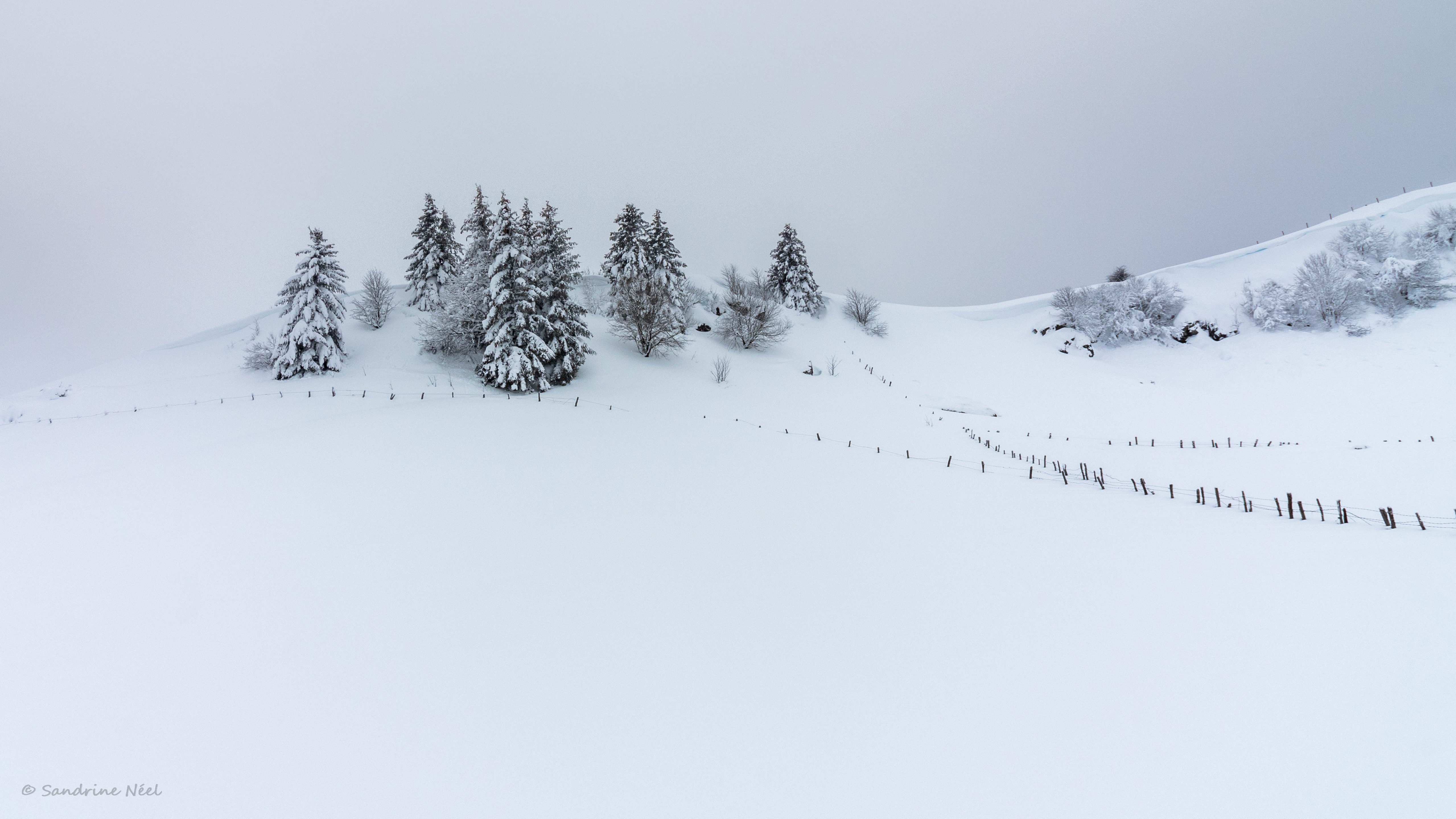 Free download wallpaper Nature, Winter, Trees, Snow, Fir Trees, Hill on your PC desktop