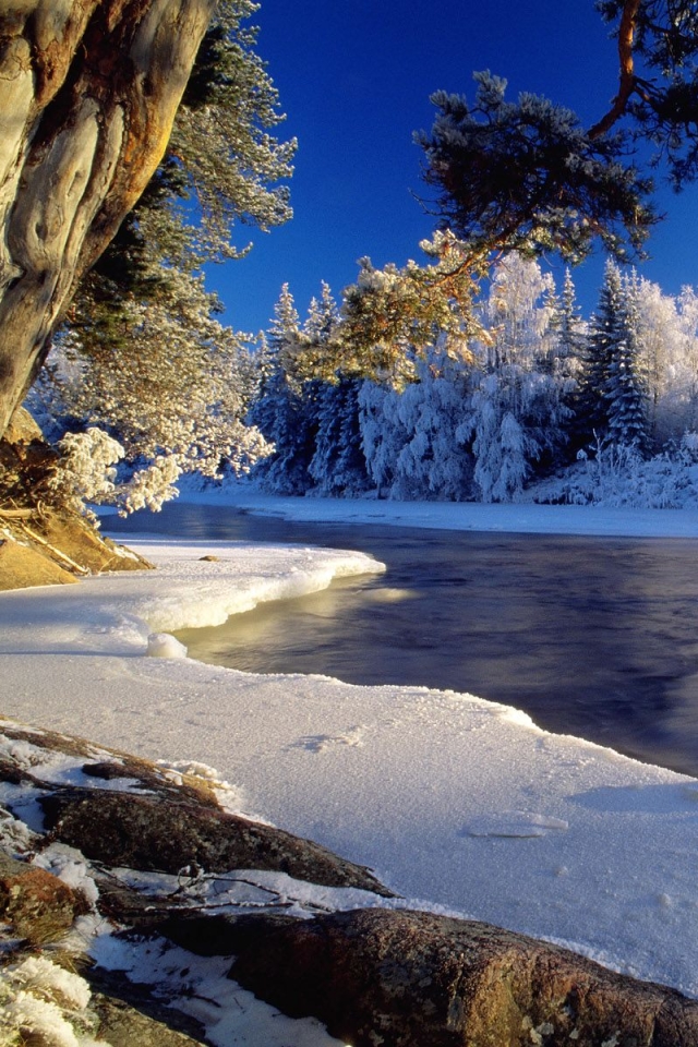 Download mobile wallpaper Winter, Earth for free.