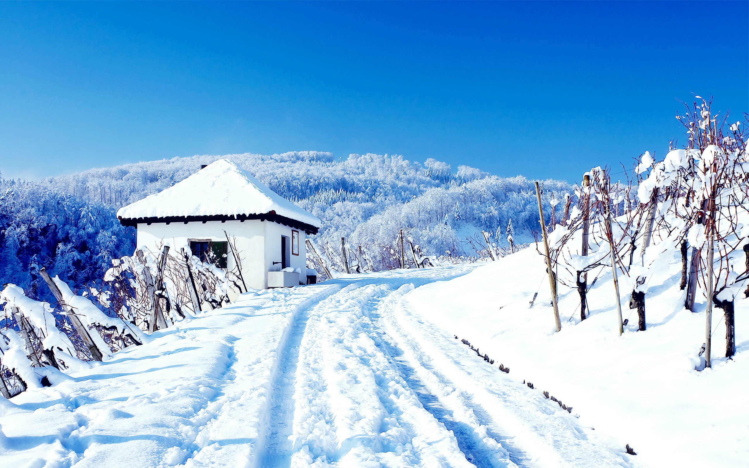PCデスクトップに冬, 家, 雪, 道, 写真撮影画像を無料でダウンロード