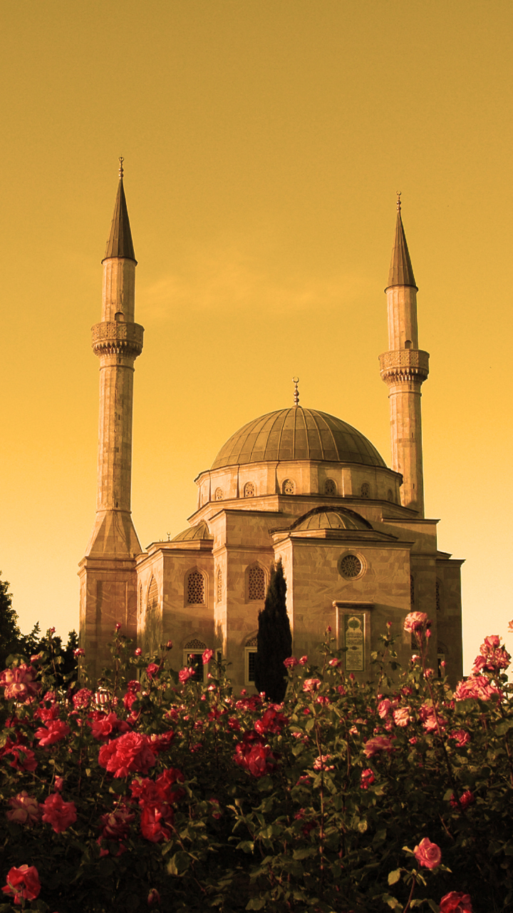 Descarga gratuita de fondo de pantalla para móvil de Religioso, Rosal, Mezquita De Dos Minaretes, Mezquitas.