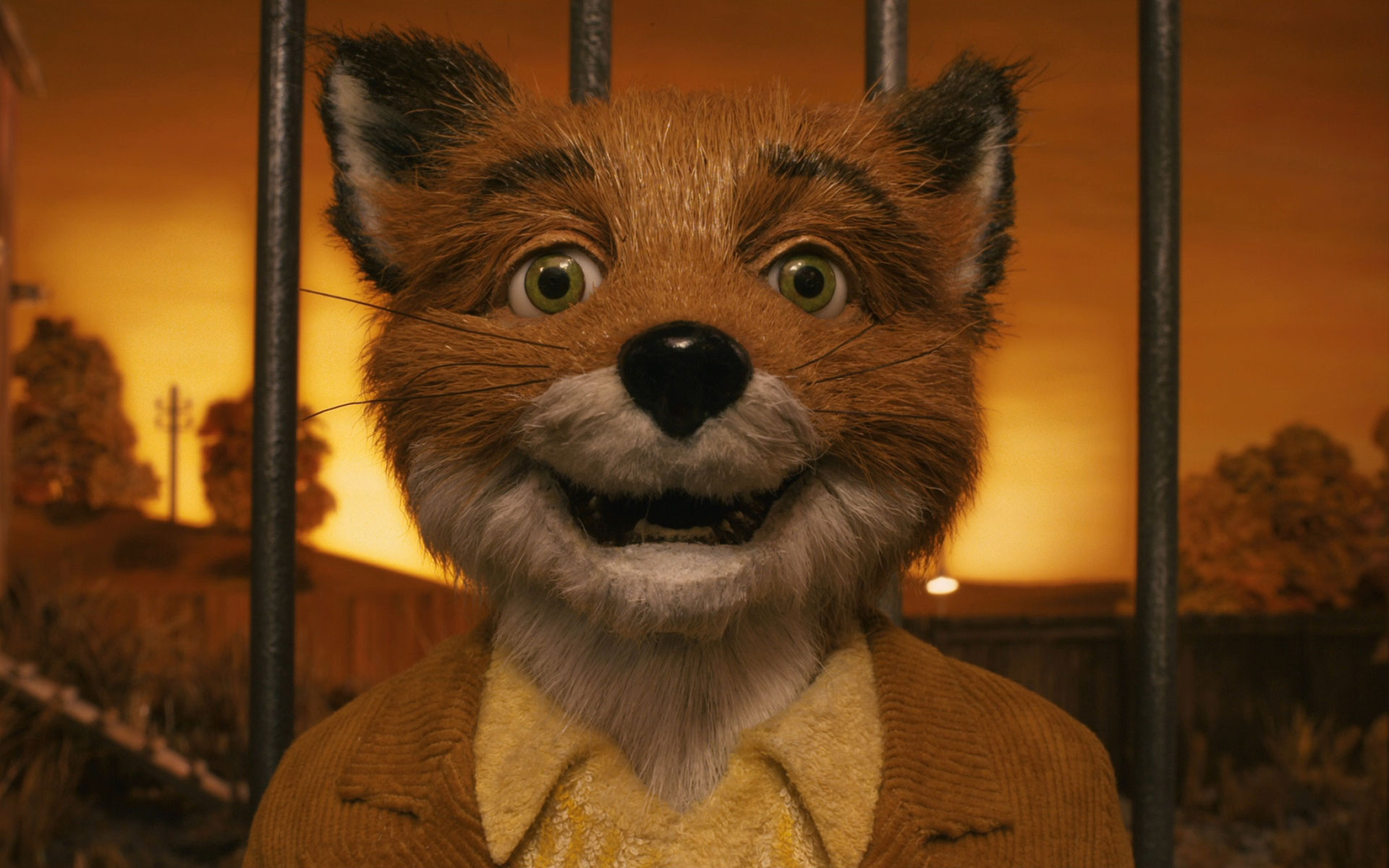 Meilleurs fonds d'écran Fantastic Mr Fox pour l'écran du téléphone