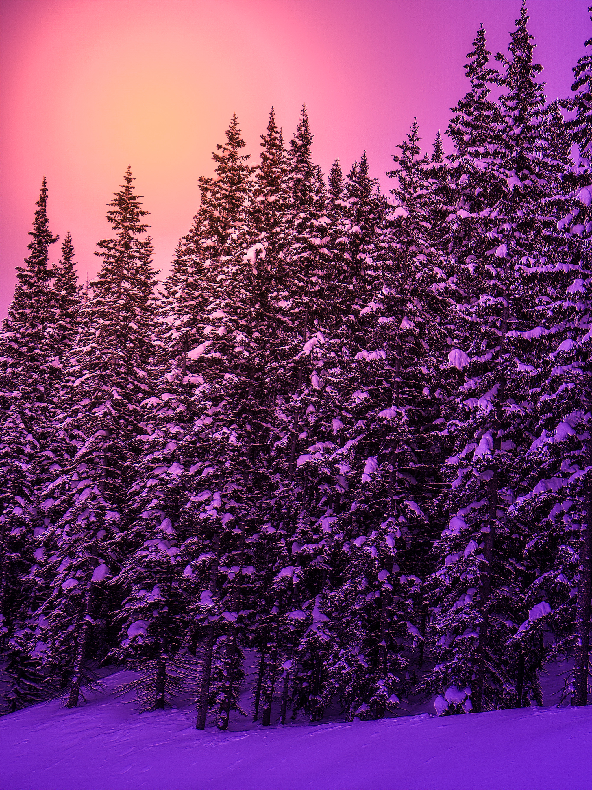 Download mobile wallpaper Winter, Sunset, Tree, Earth for free.