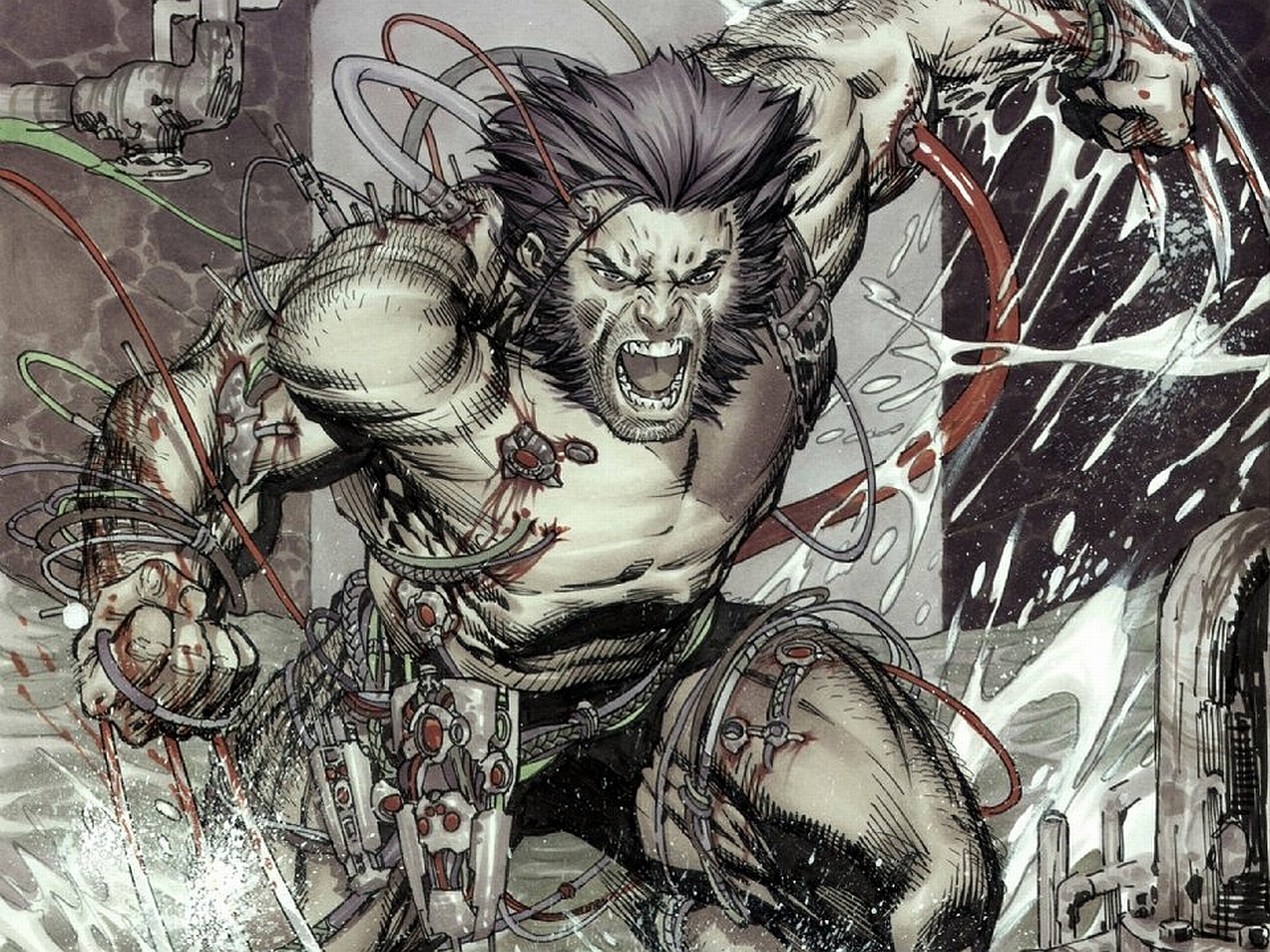 Download mobile wallpaper Wolverine, Comics for free.