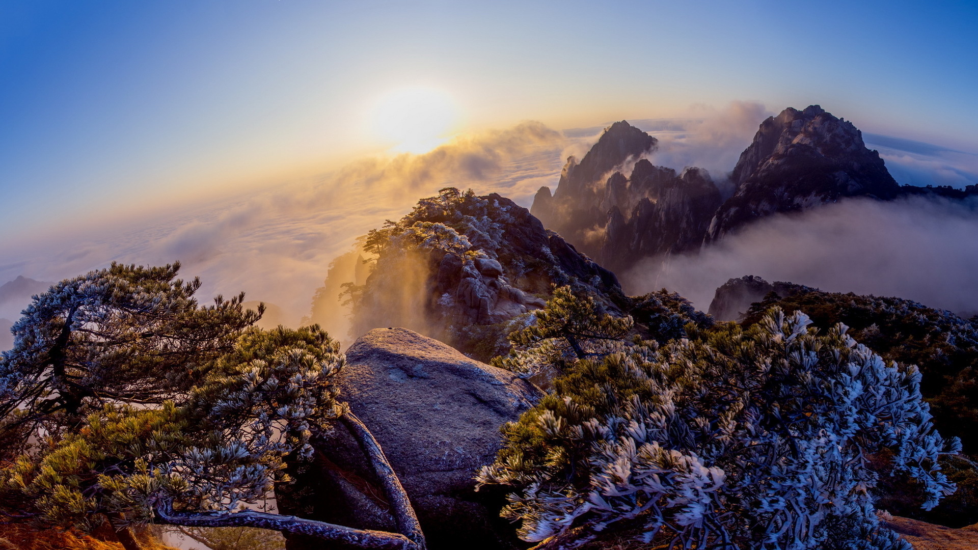 Descarga gratuita de fondo de pantalla para móvil de Paisaje, Tierra/naturaleza.