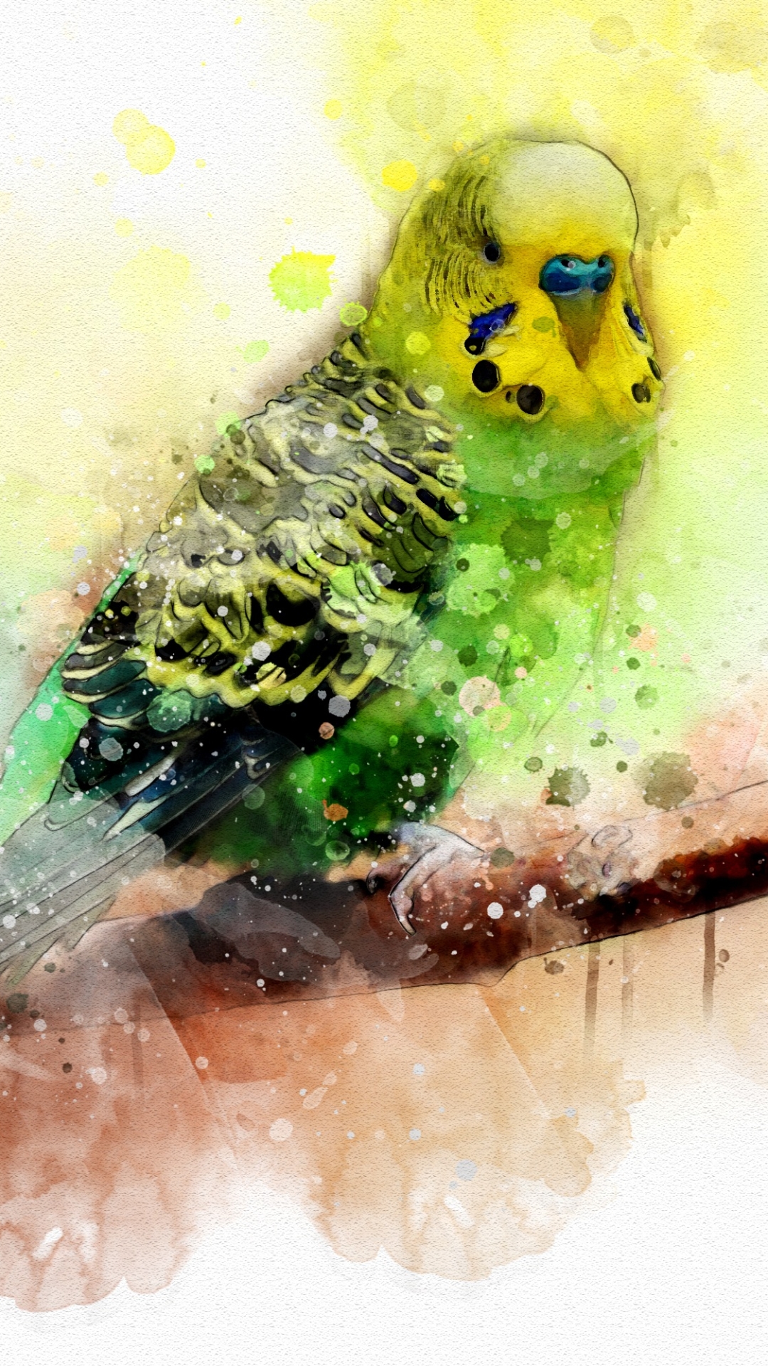 Download mobile wallpaper Birds, Bird, Animal, Watercolor, Budgerigar, Parrot for free.
