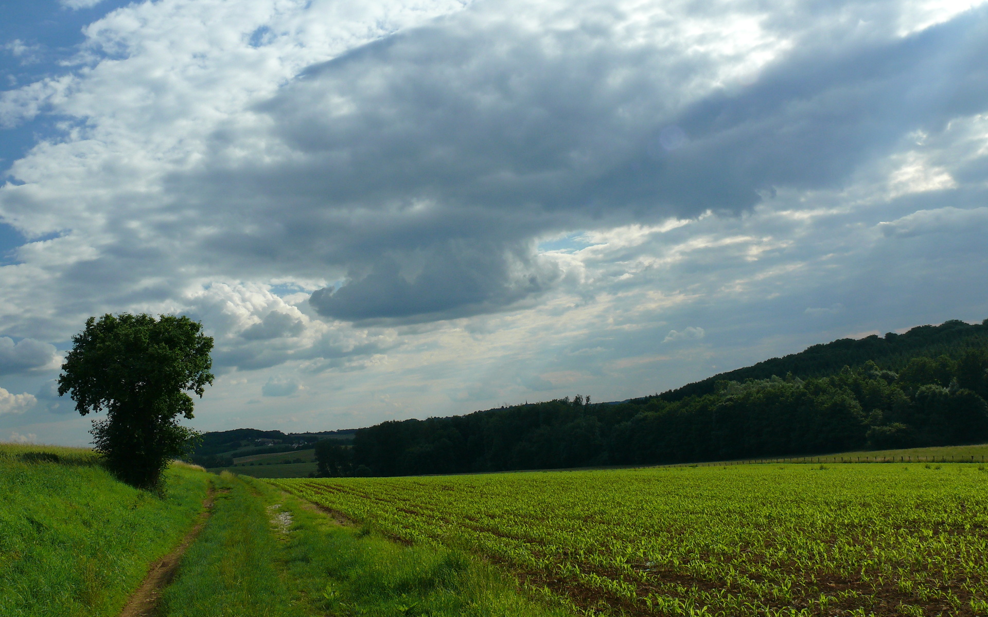 Téléchargez gratuitement l'image Paysage, Terre/nature sur le bureau de votre PC