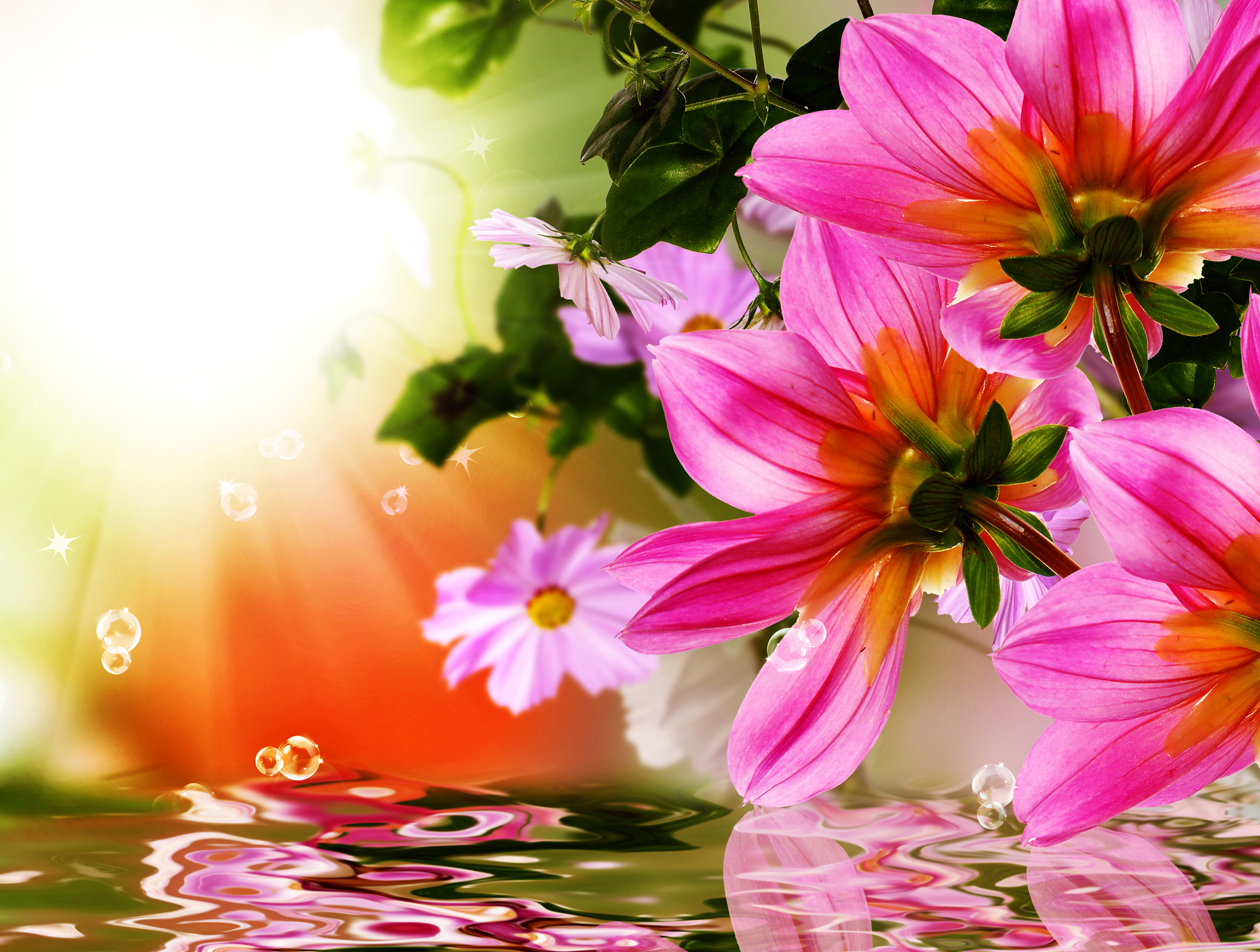 Скачать обои бесплатно Вода, Отражение, Цветок, Коллаж, Весна, Художественные, Розовый Цветок картинка на рабочий стол ПК