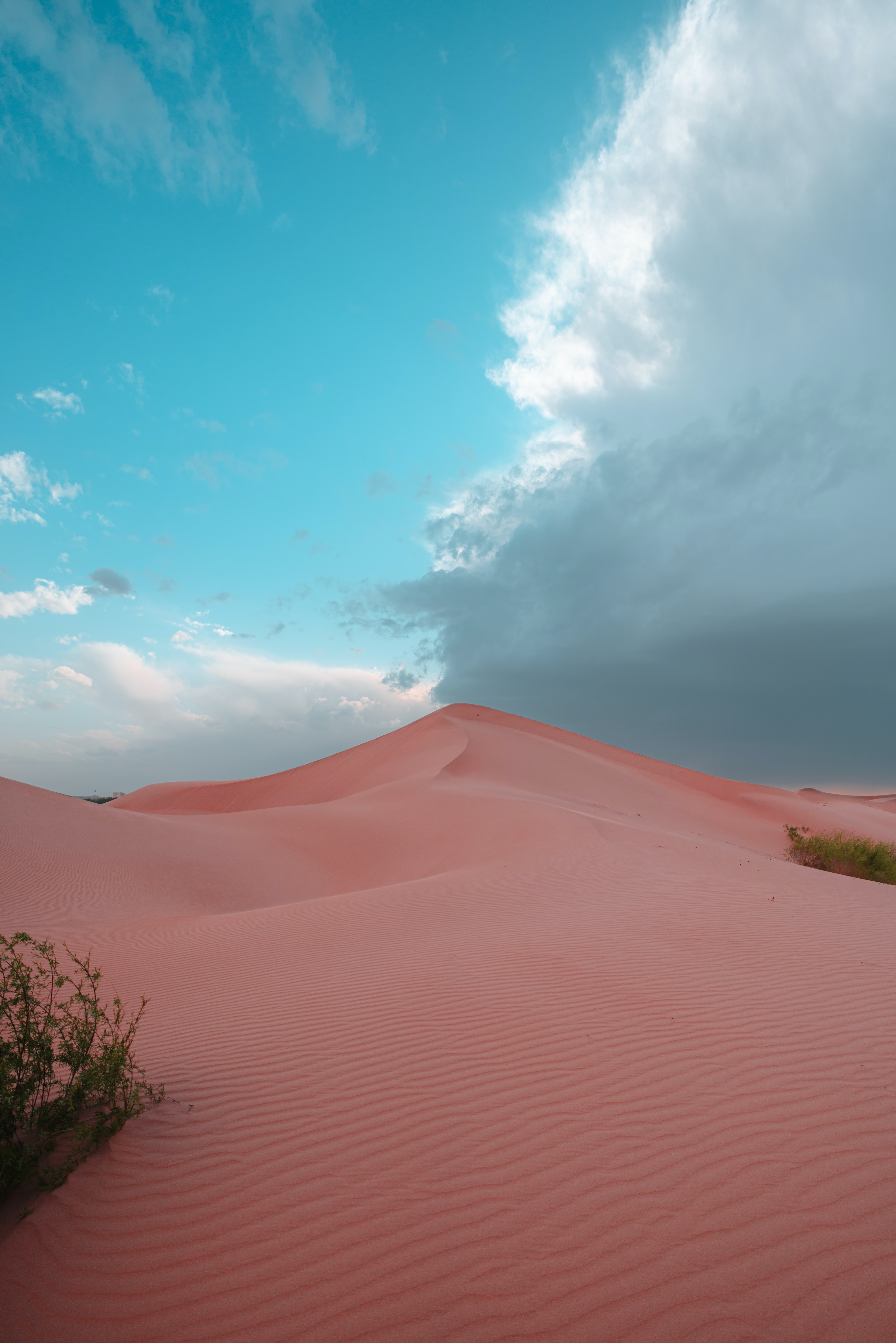 Free download wallpaper Nature, Bush, Hill, Desert, Dunes, Sand on your PC desktop