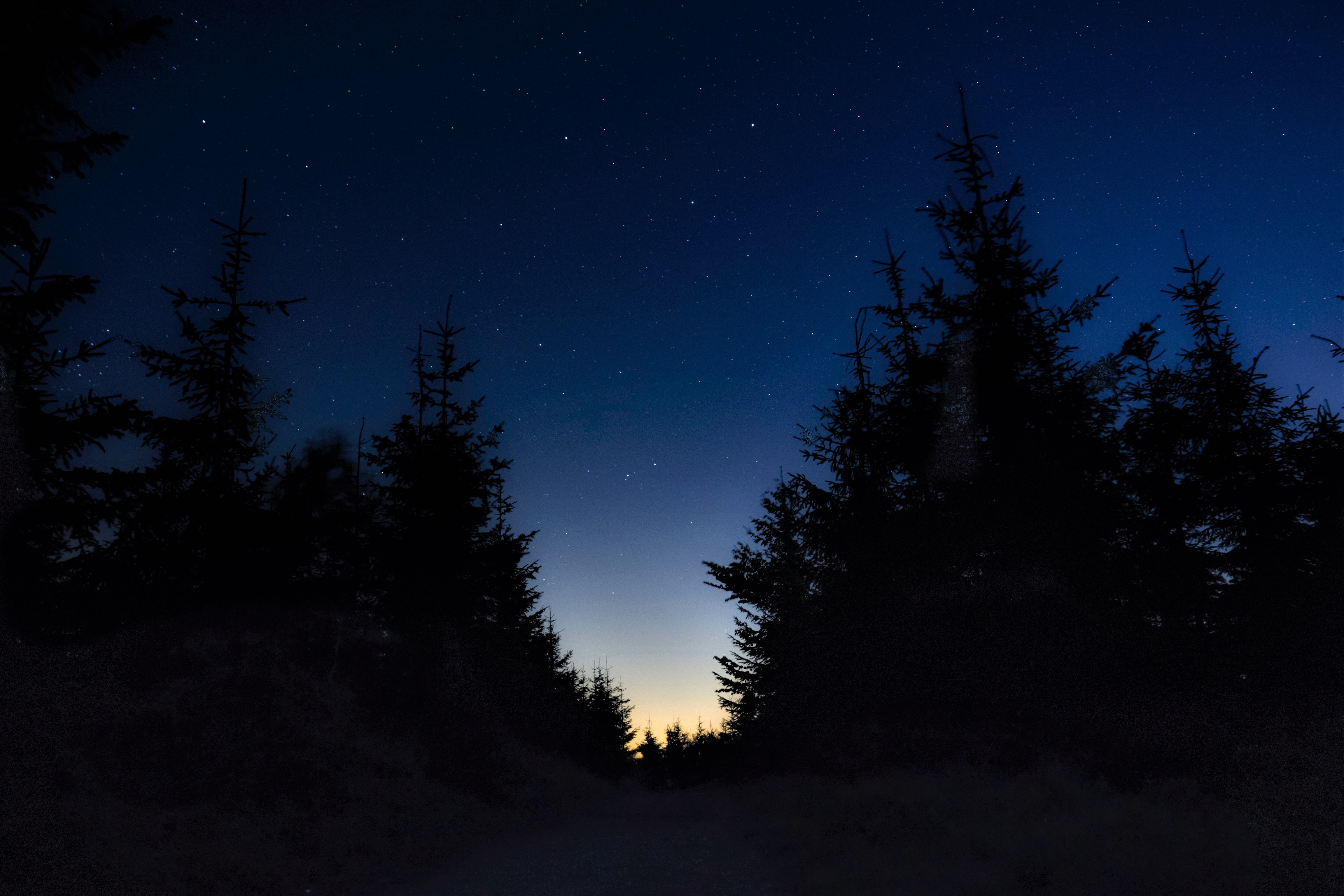 Baixe gratuitamente a imagem Céu, Estrelas, Noite, Silhueta, Céu Estrelado, Terra/natureza na área de trabalho do seu PC