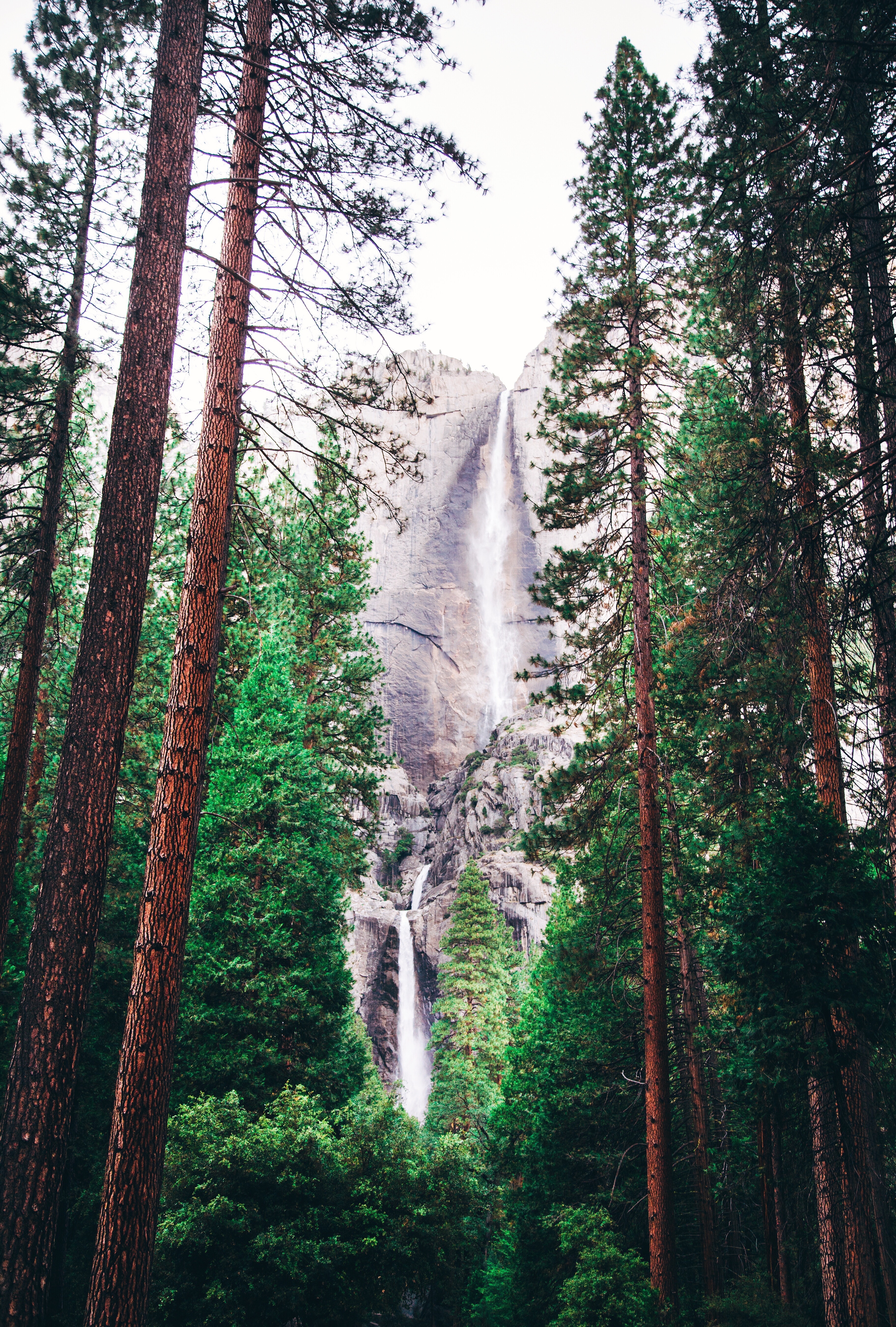 Laden Sie das Bäume, Wald, Natur, Wasserfall-Bild kostenlos auf Ihren PC-Desktop herunter