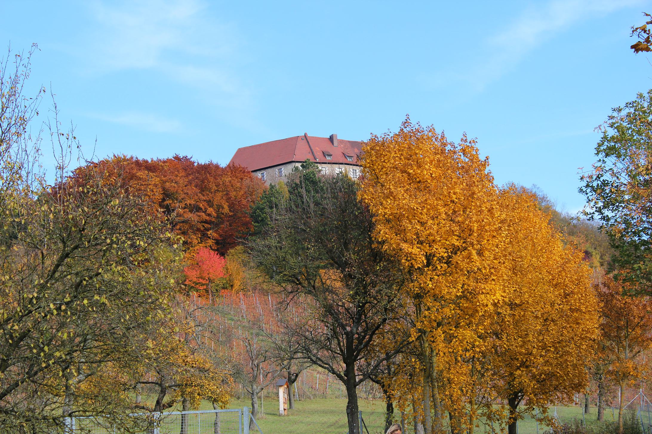 Laden Sie das Menschengemacht, Schloss-Bild kostenlos auf Ihren PC-Desktop herunter