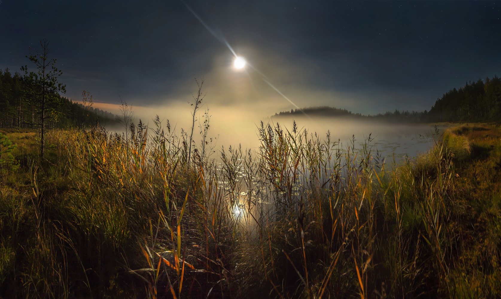 Free download wallpaper Grass, Moon, Swamp, Fog, Earth on your PC desktop