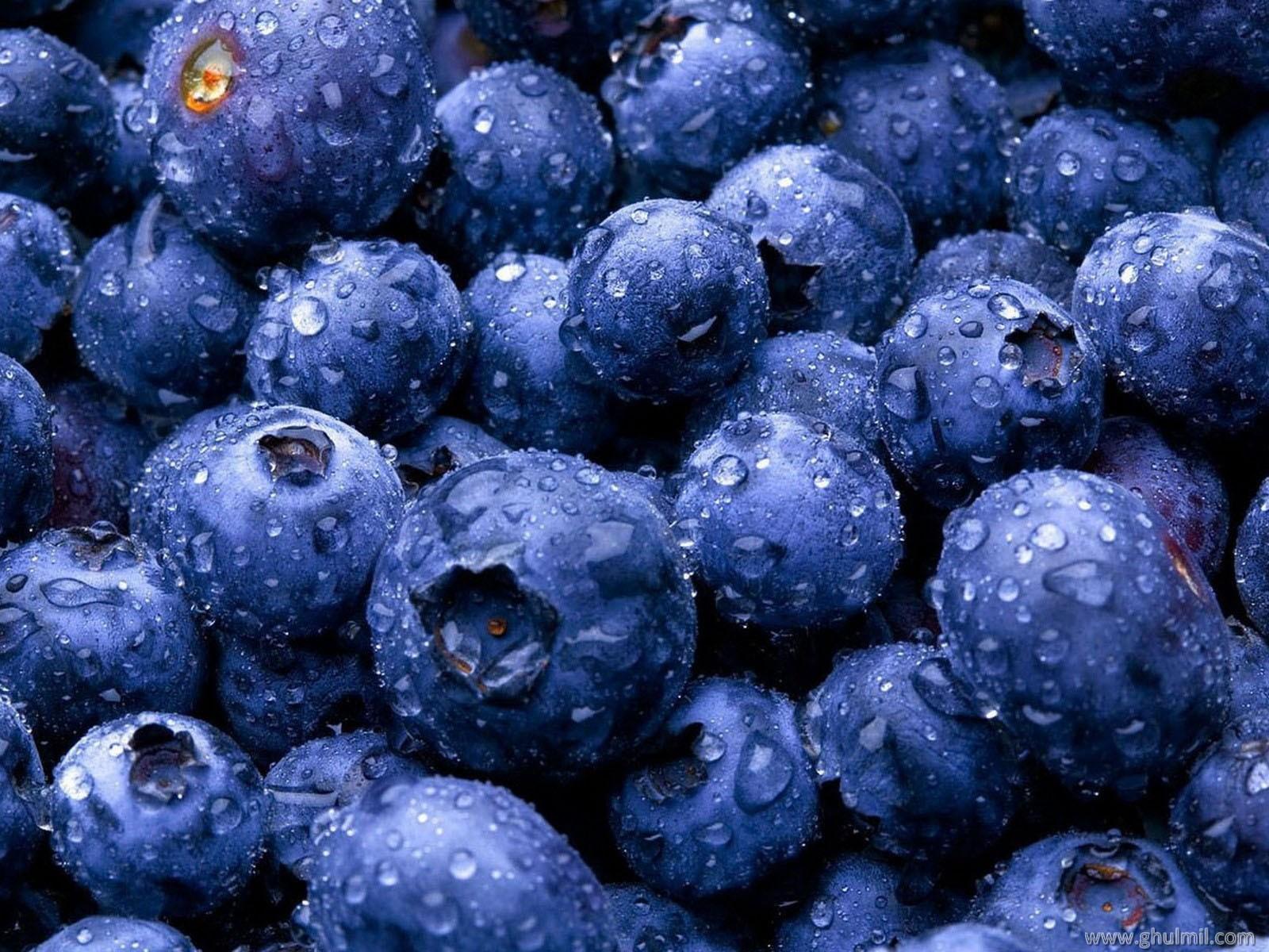 Free download wallpaper Food, Blueberry, Berry on your PC desktop