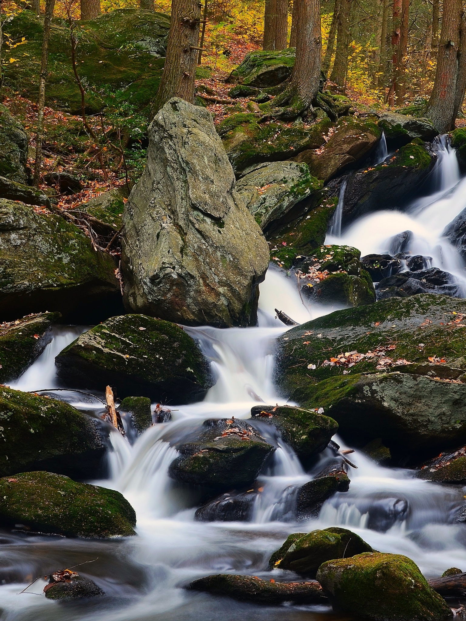 Download mobile wallpaper Waterfall, Forest, Fall, Earth, Stream for free.