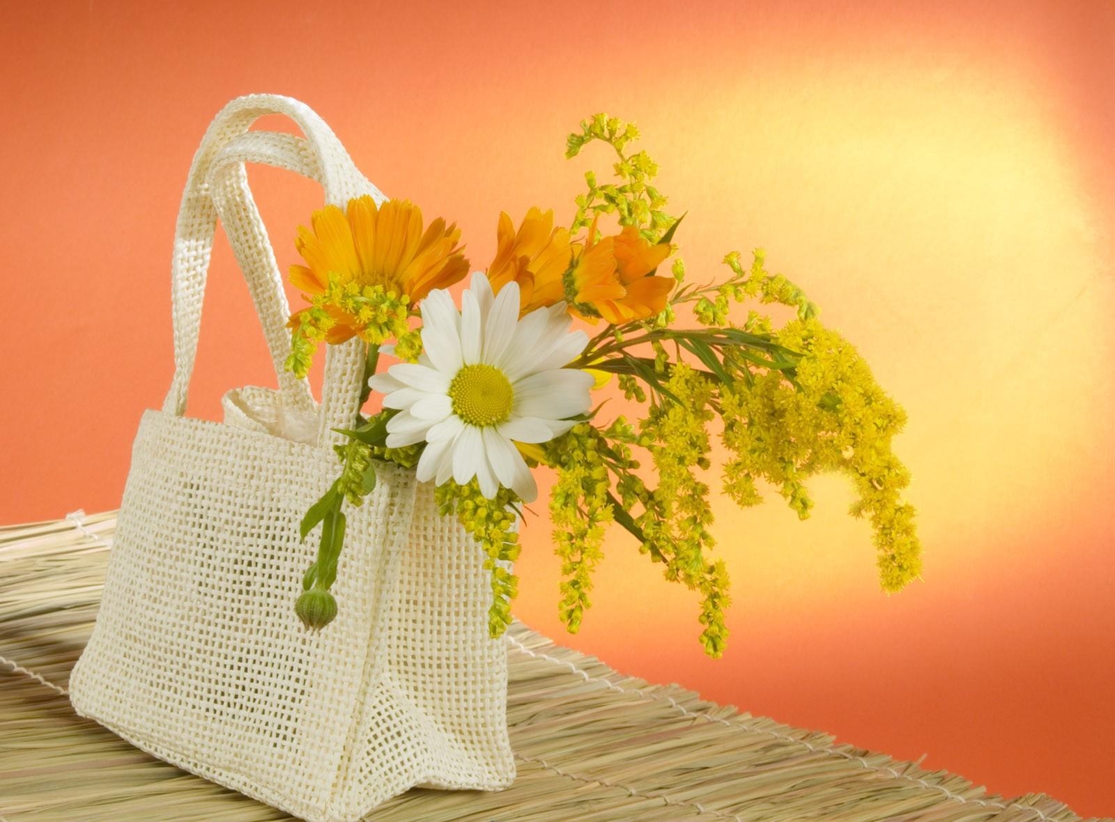 78960 скачать картинку цветы, полевые, сумка, ромашка - обои и заставки бесплатно