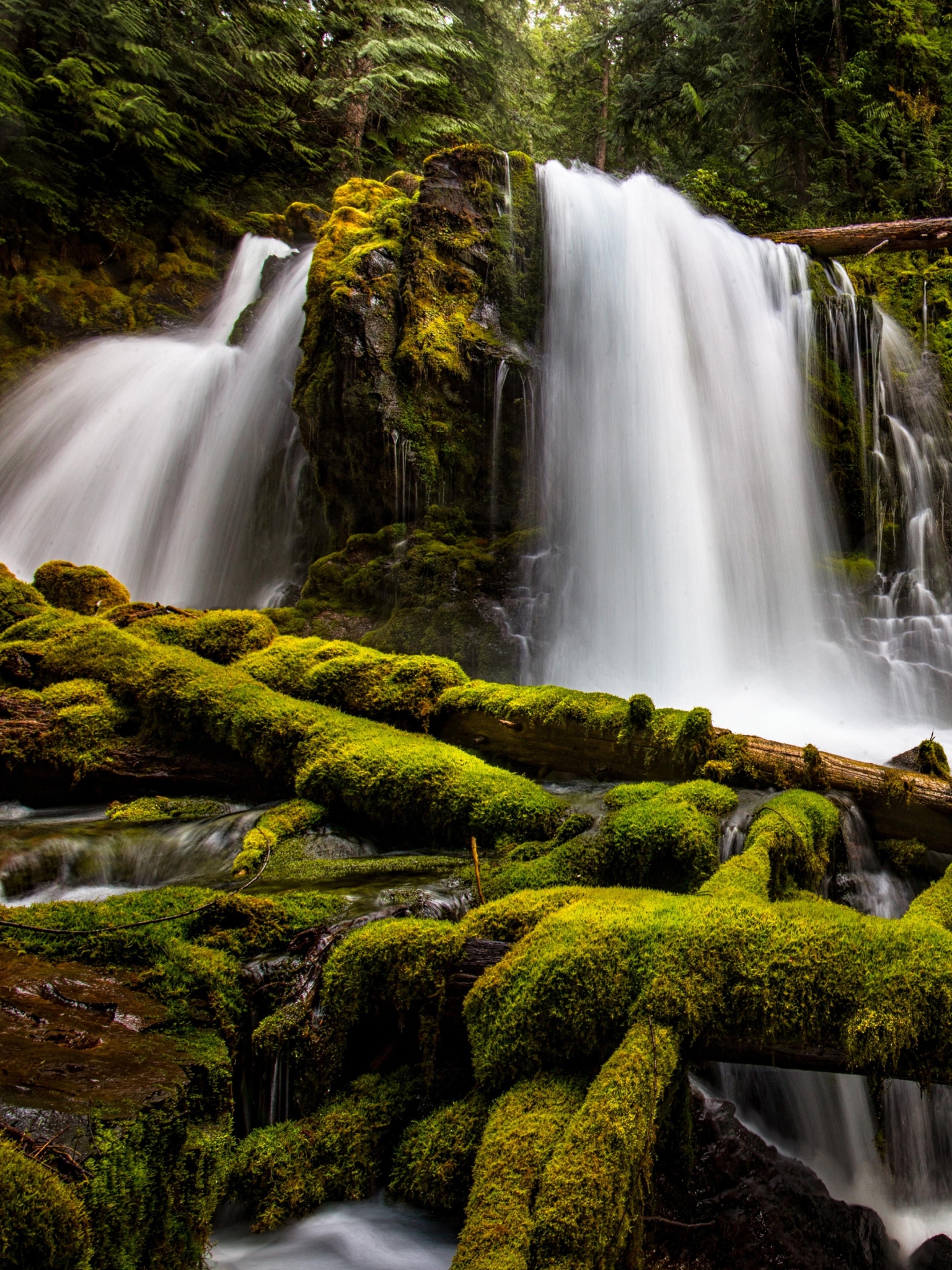 Free download wallpaper Nature, Waterfalls, Waterfall, Earth, Foam, Moss, Greenery on your PC desktop