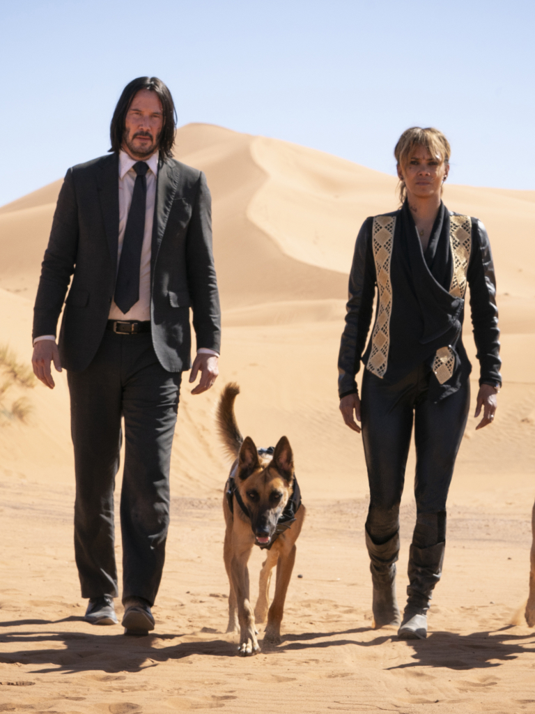 Download mobile wallpaper Keanu Reeves, Movie, Halle Berry, John Wick, John Wick: Chapter 3 Parabellum for free.
