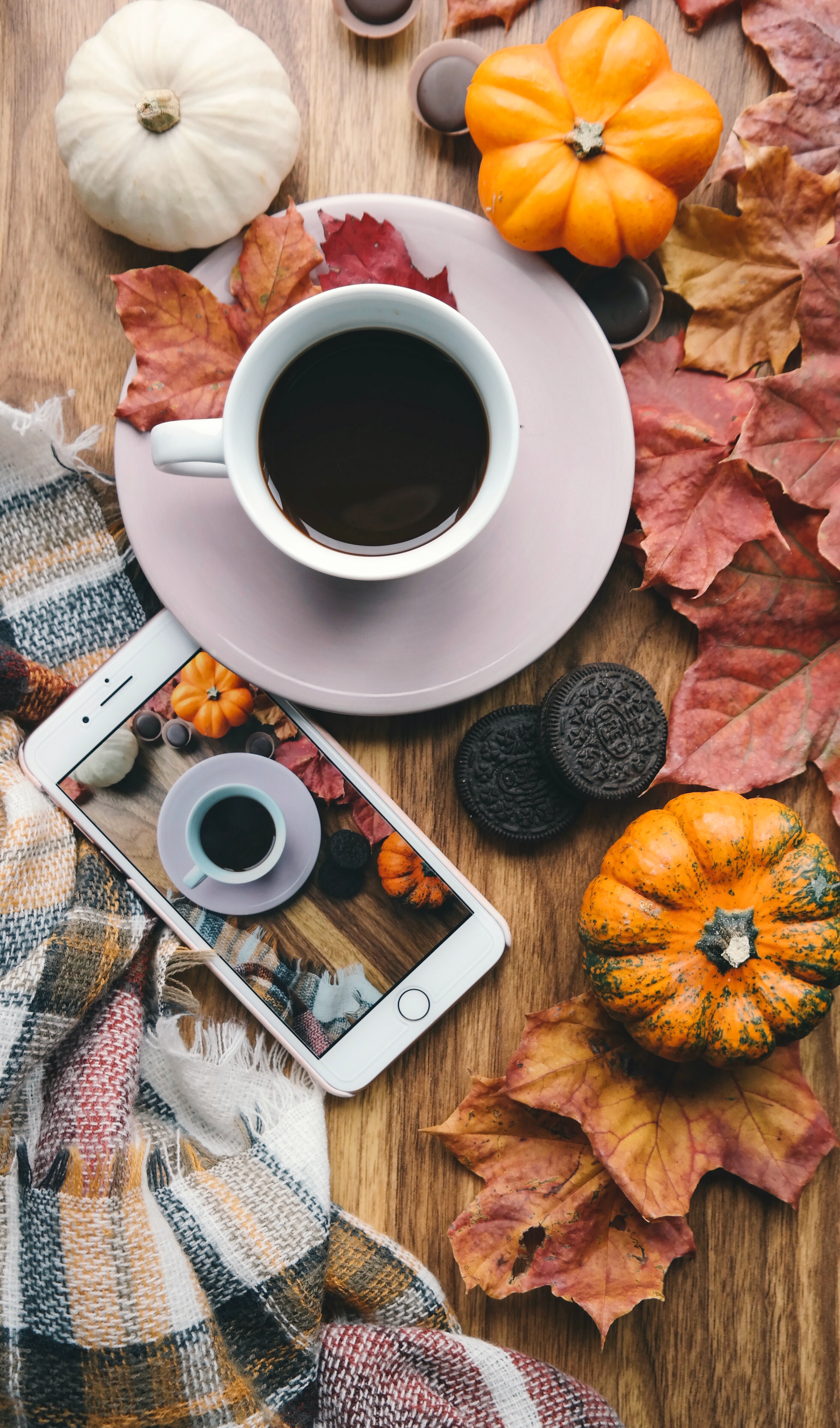 Free download wallpaper Miscellanea, Miscellaneous, Autumn, Telephone, Coffee, Pumpkin on your PC desktop