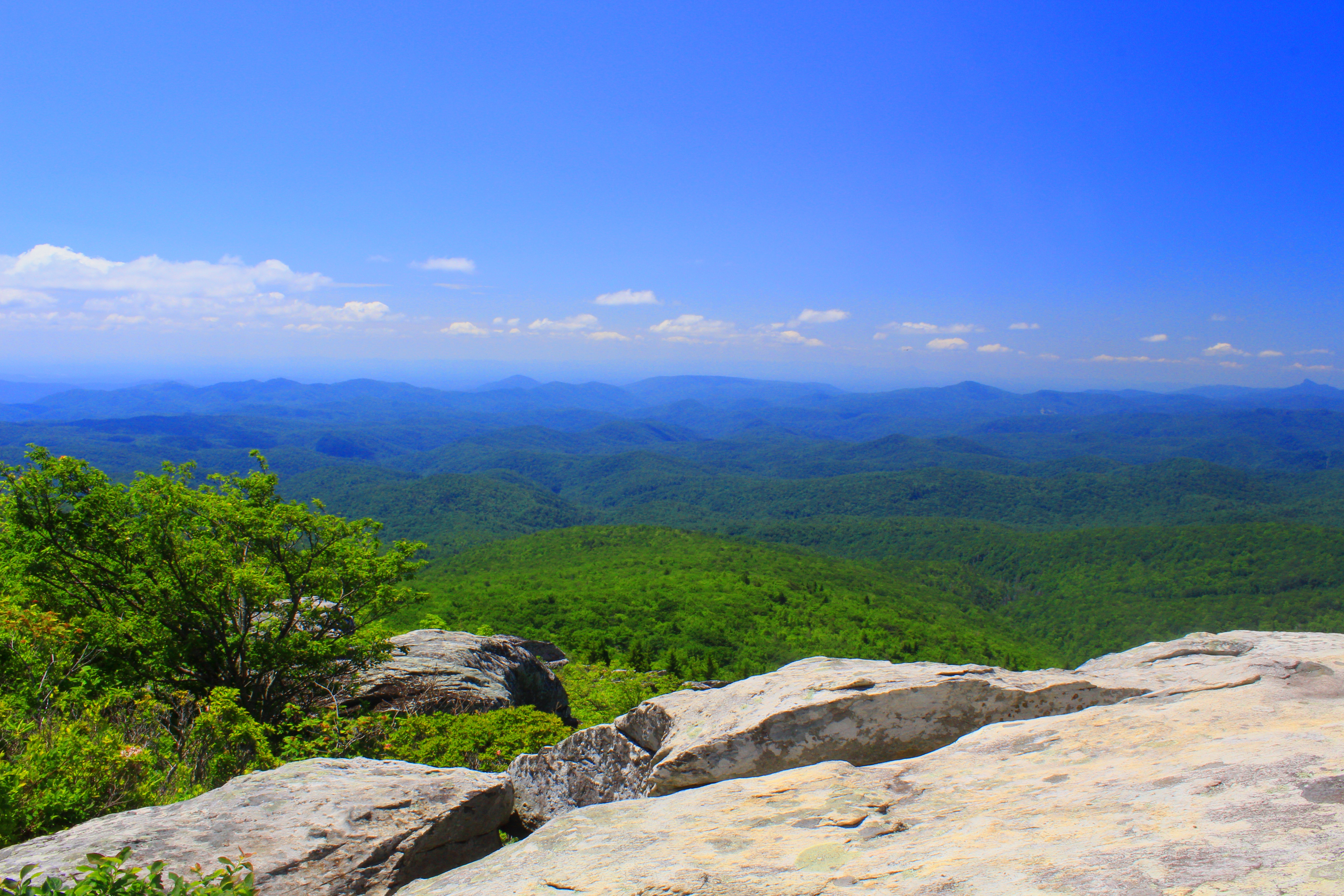 Скачать картинку Северная Каролина, Природа, Камни, Горы, Трава в телефон бесплатно.