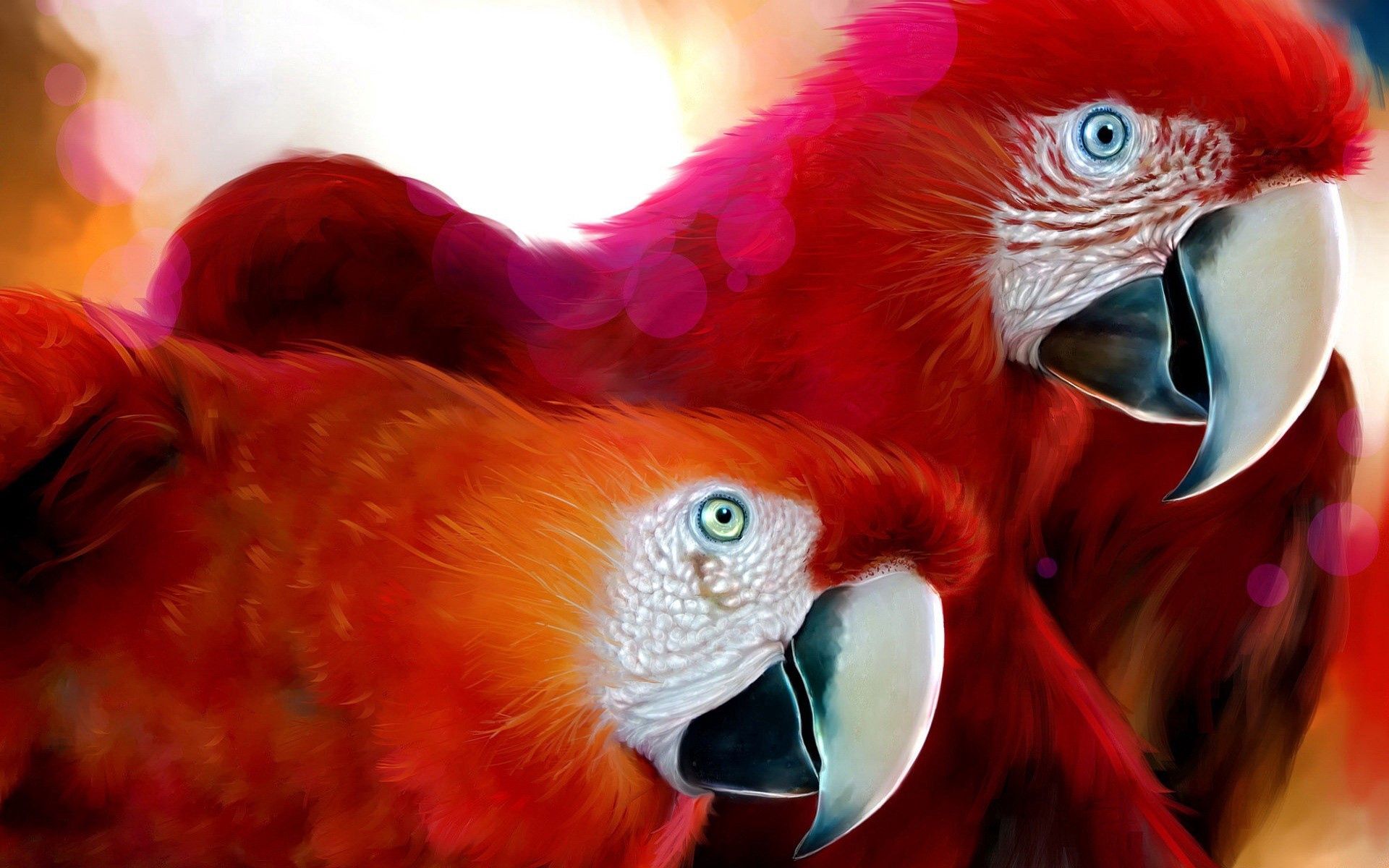 Free download wallpaper Animals, Beak, Parrots, Pair, Color, Couple on your PC desktop