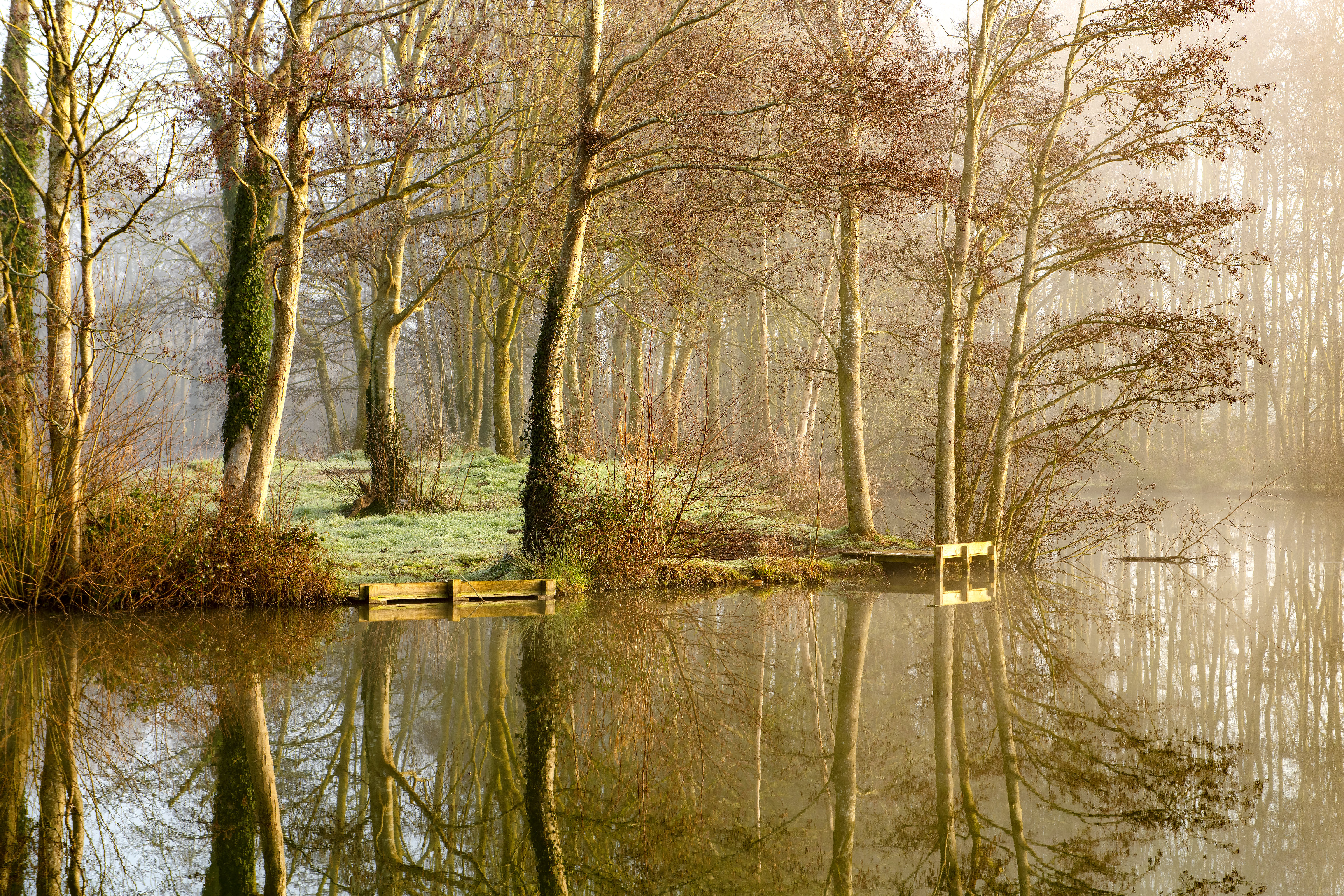 Free download wallpaper Trees, Lake, Reflection, Nature, Forest, Fog on your PC desktop