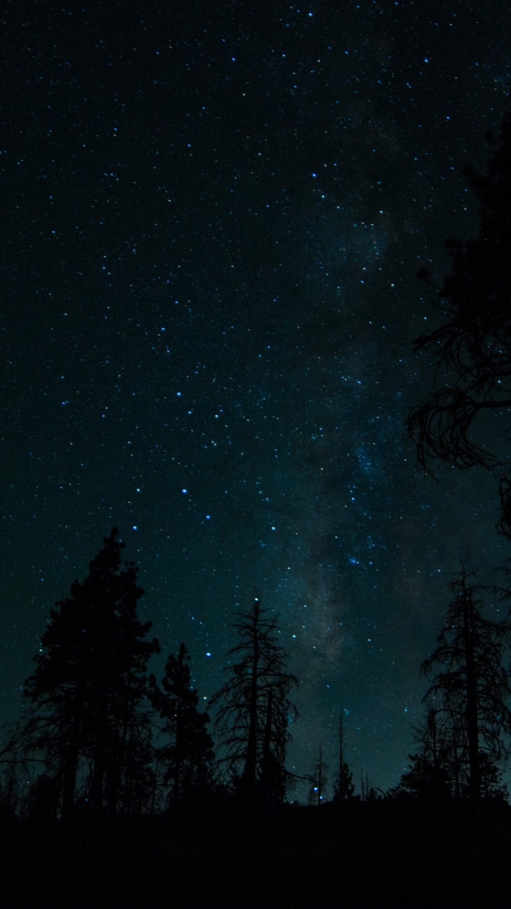 Download mobile wallpaper Sky, Stars, Night, Silhouette, Forest, Tree, Starry Sky, Earth for free.