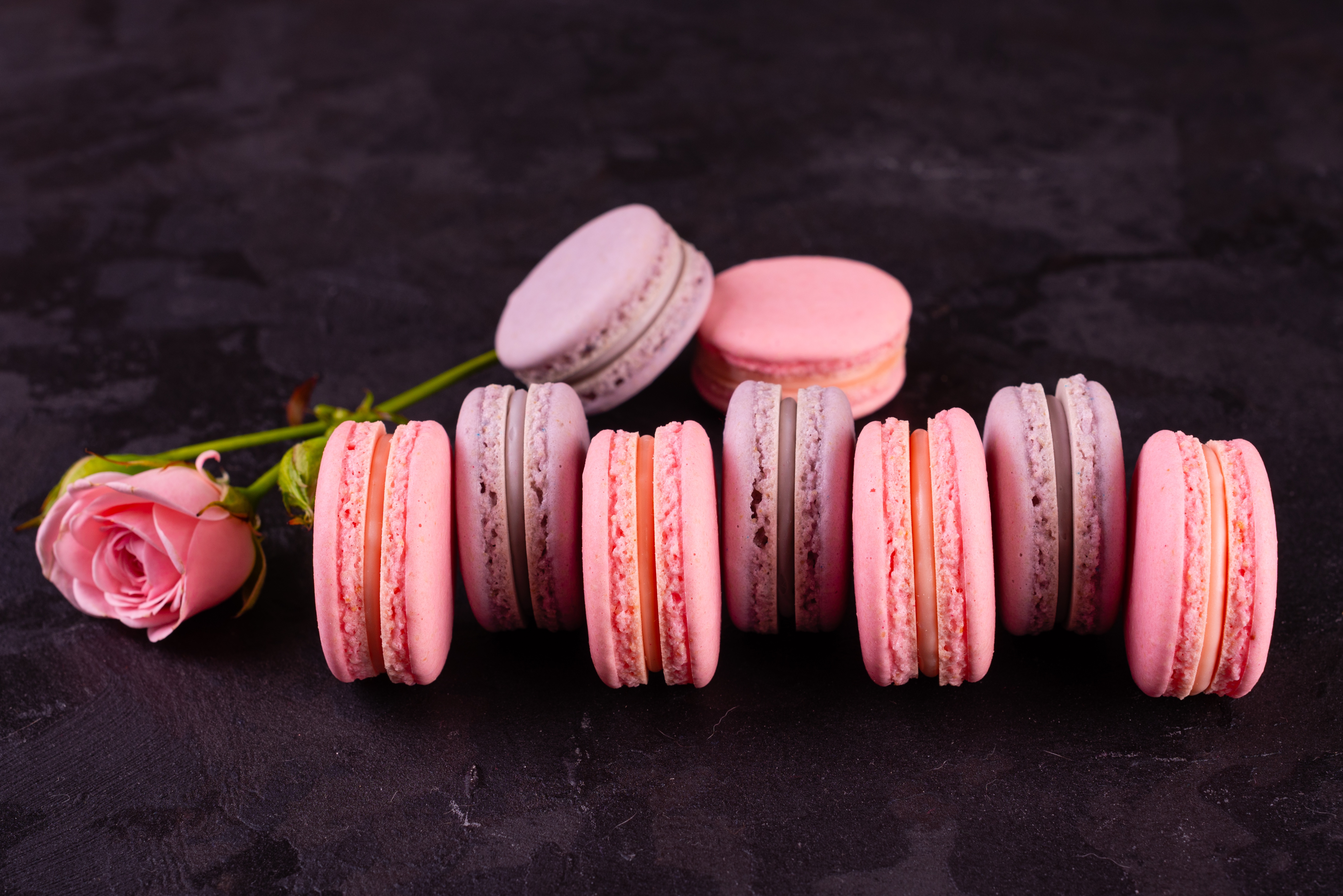 Free download wallpaper Food, Still Life, Rose, Sweets, Macaron on your PC desktop