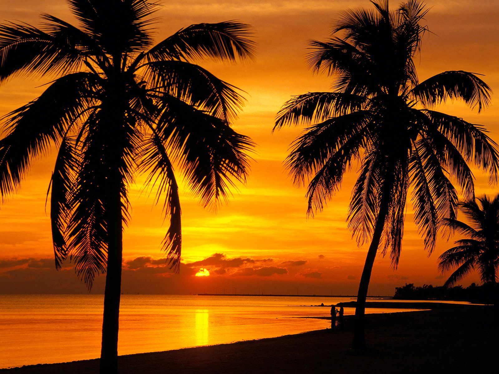 Download mobile wallpaper Sunset, Sea, Sun, Silhouette, Ocean, Earth, Golden, Cloud, Palm Tree for free.