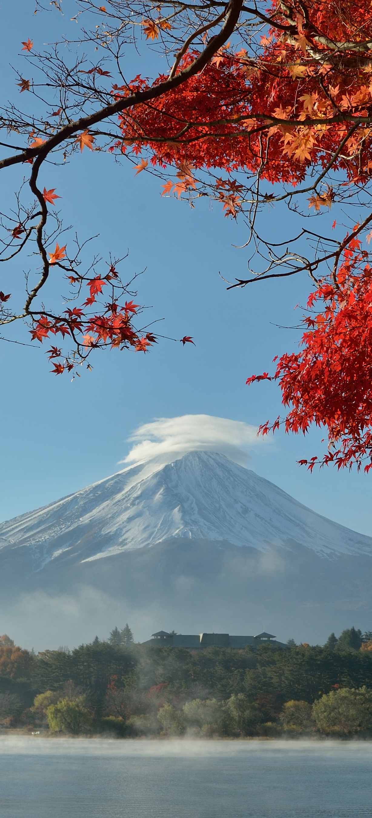Скачать картинку Природа, Осень, Япония, Вулкан, Падать, Гора Фудзи, Вулканы, Земля/природа в телефон бесплатно.