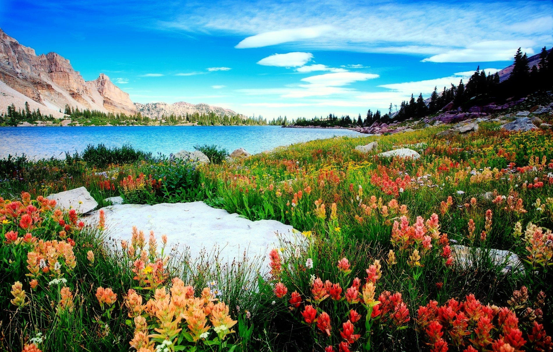 359096 télécharger l'image la nature, lac, montagne, fleur, terre/nature, paysage, des lacs - fonds d'écran et économiseurs d'écran gratuits