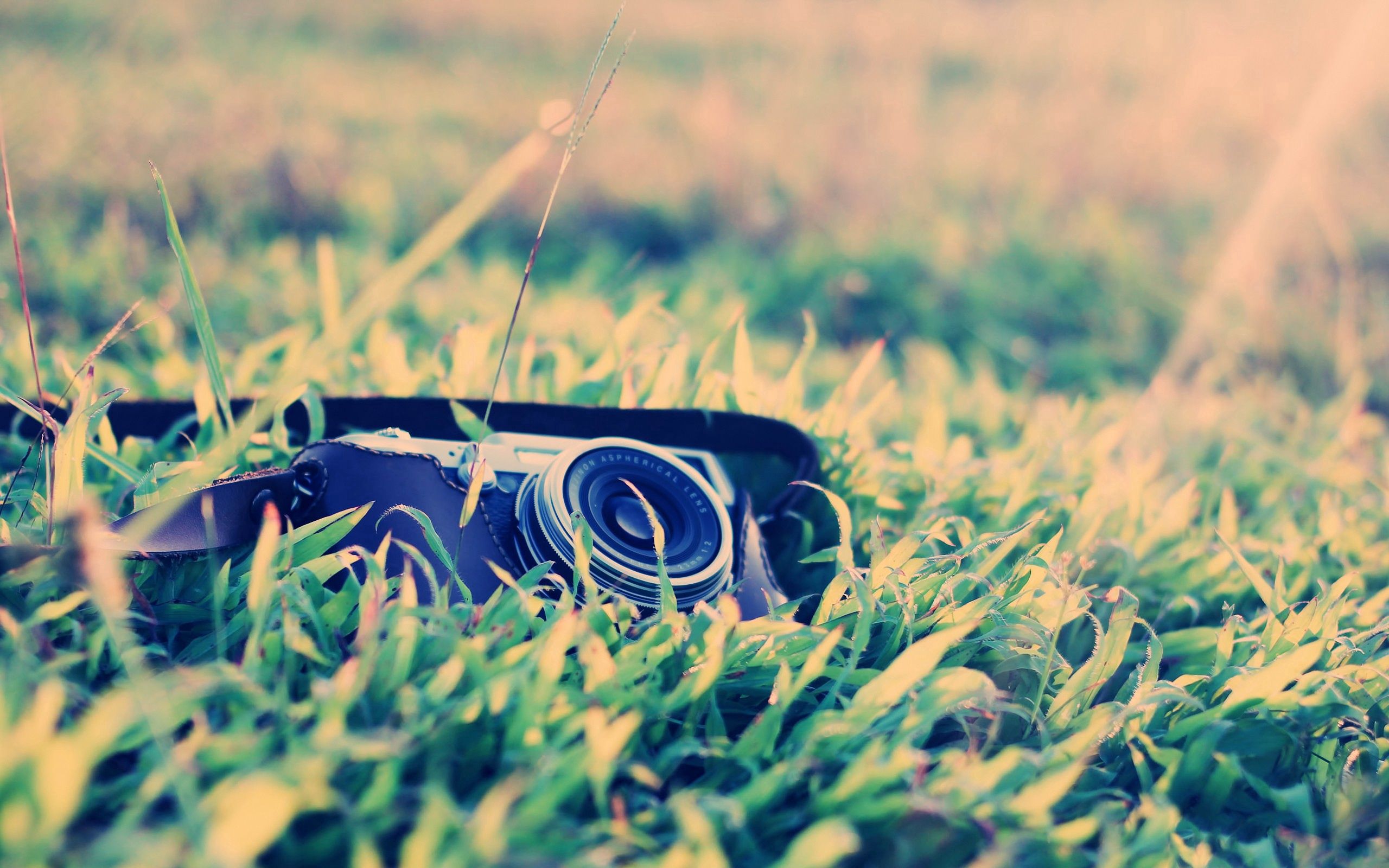 lens, grass, macro, camera
