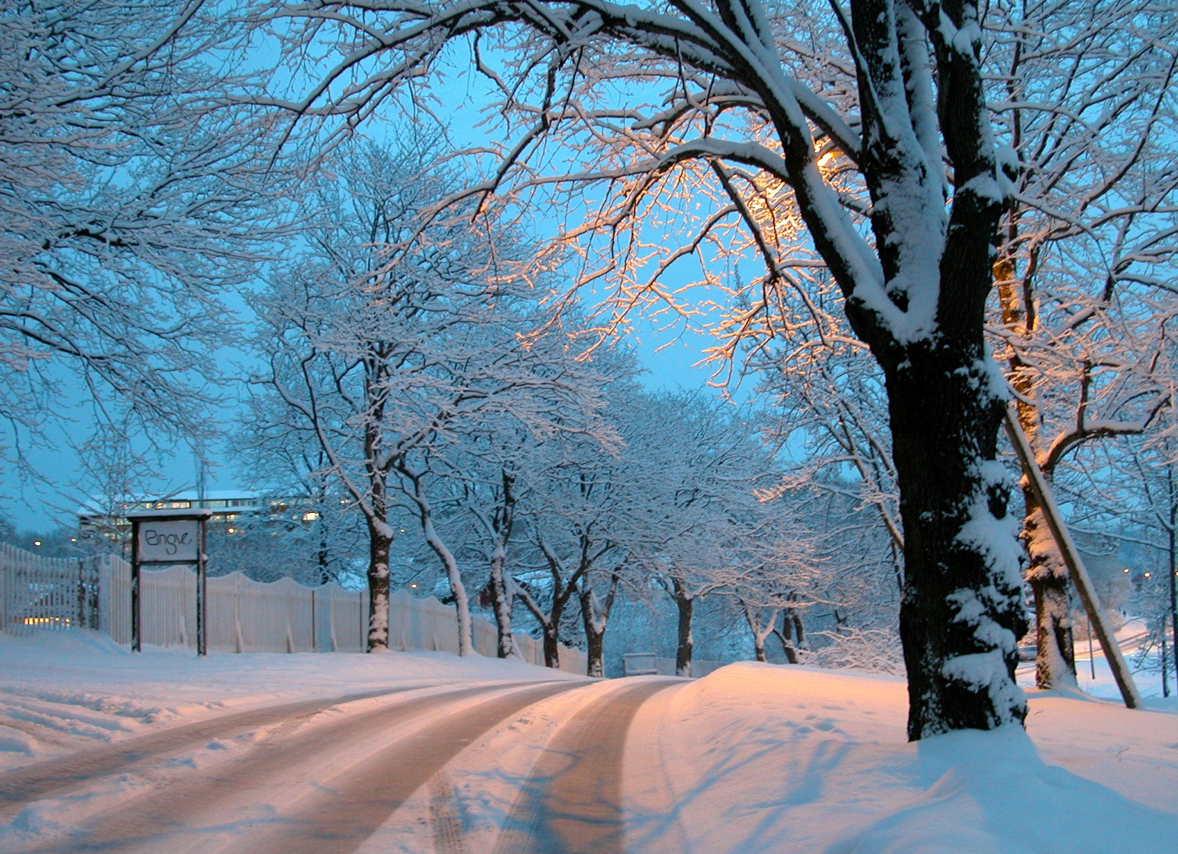 Free download wallpaper Winter, Snow, Road, Tree, Earth, Photography on your PC desktop