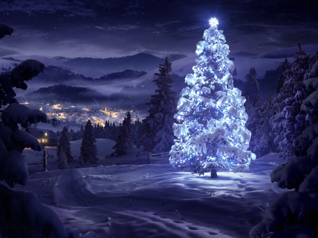 Laden Sie das Feiertage, Landschaft, Winter, Schnee, Weihnachten, Weihnachtsbaum-Bild kostenlos auf Ihren PC-Desktop herunter