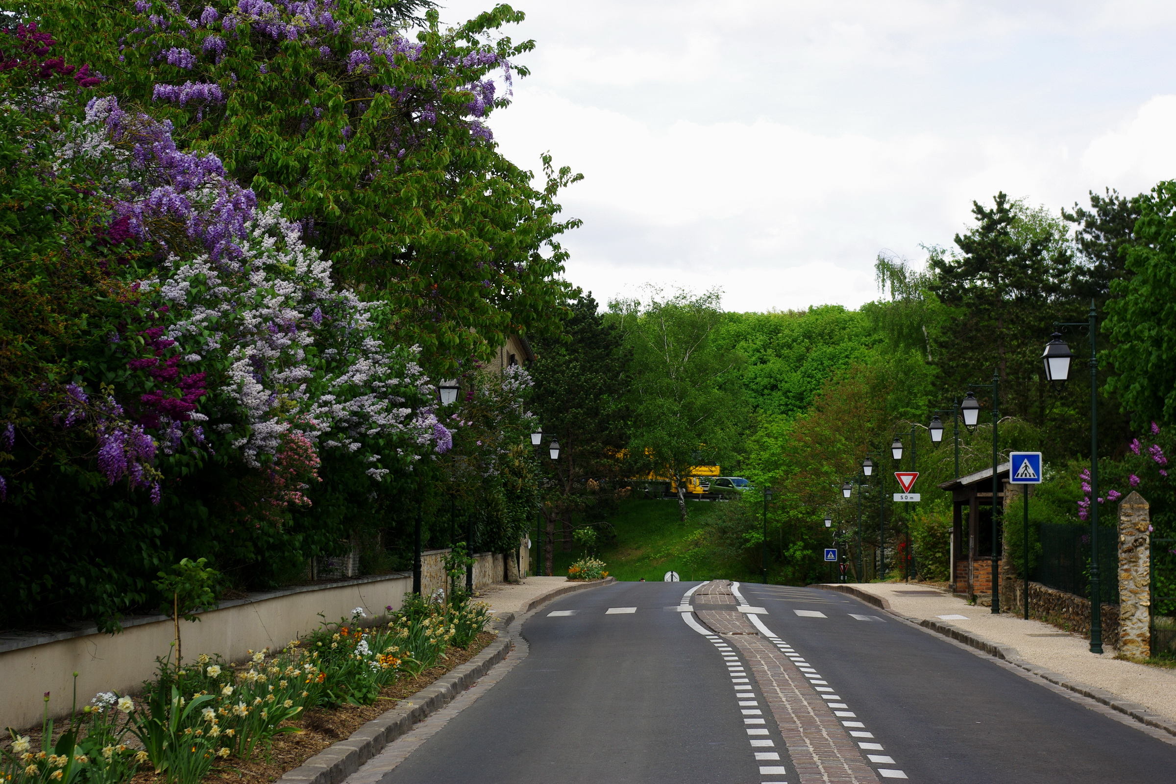 Download mobile wallpaper Lilac, Bush, Flower, Road, Man Made for free.