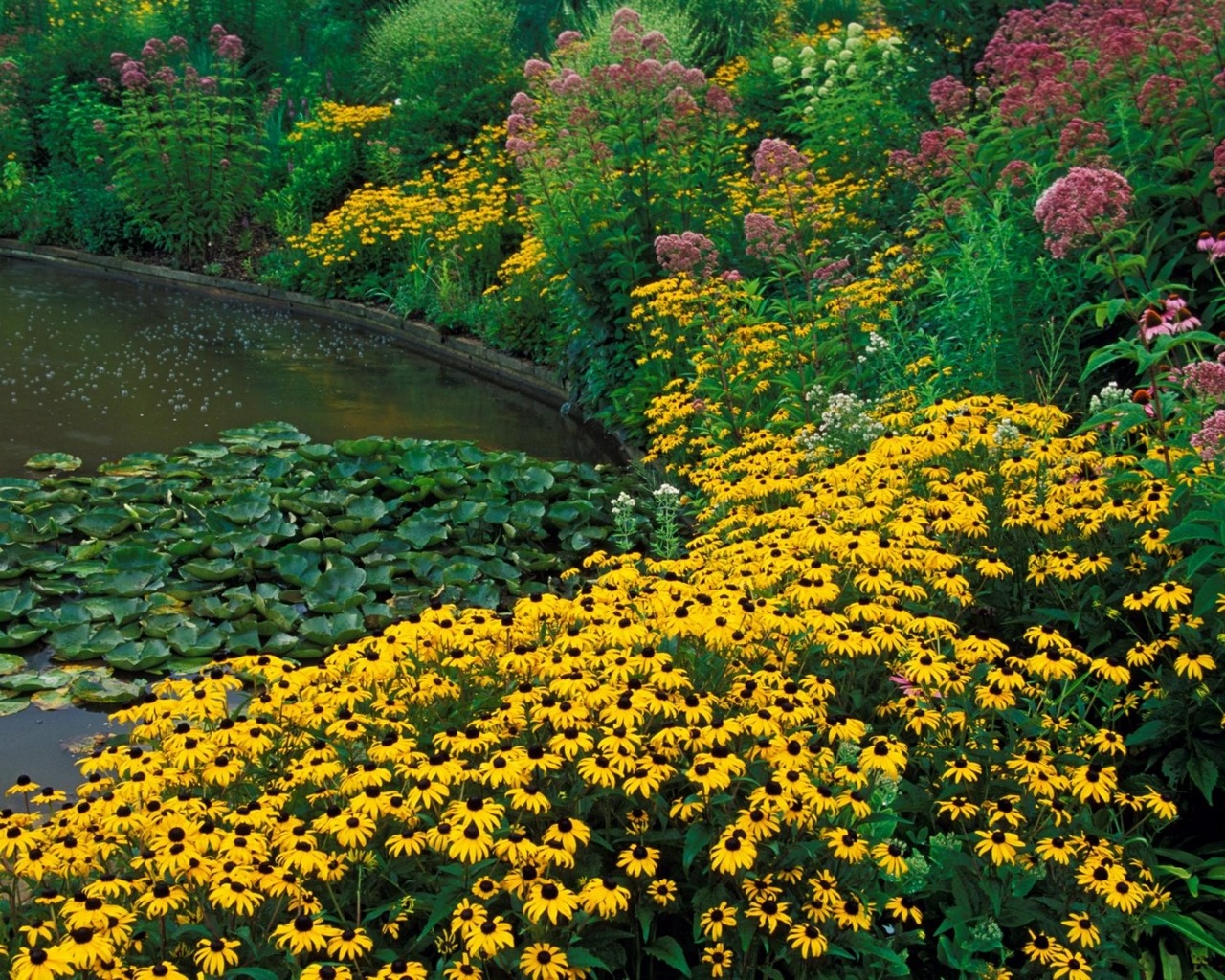 Descarga gratuita de fondo de pantalla para móvil de Flor, Jardín, Tierra/naturaleza.