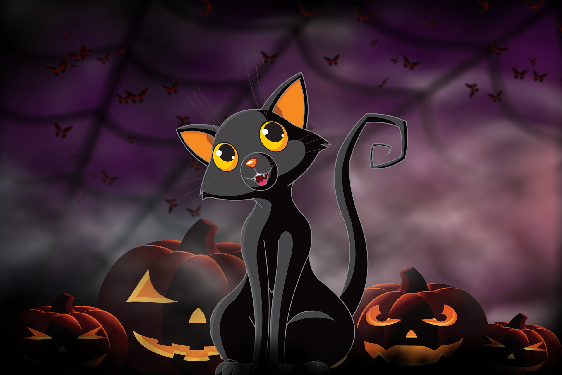 PCデスクトップにネコ, かぼちゃ, ホリデー, ジャック・オー・ランタン, ハロウィン画像を無料でダウンロード