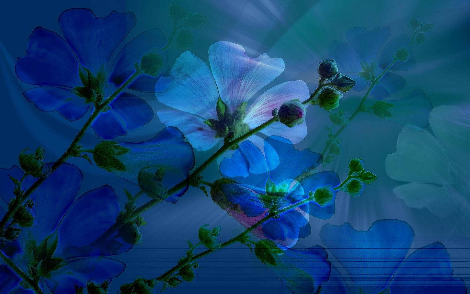 spring, artistic, flower, blue flower, blue, leaf, stem, flowers