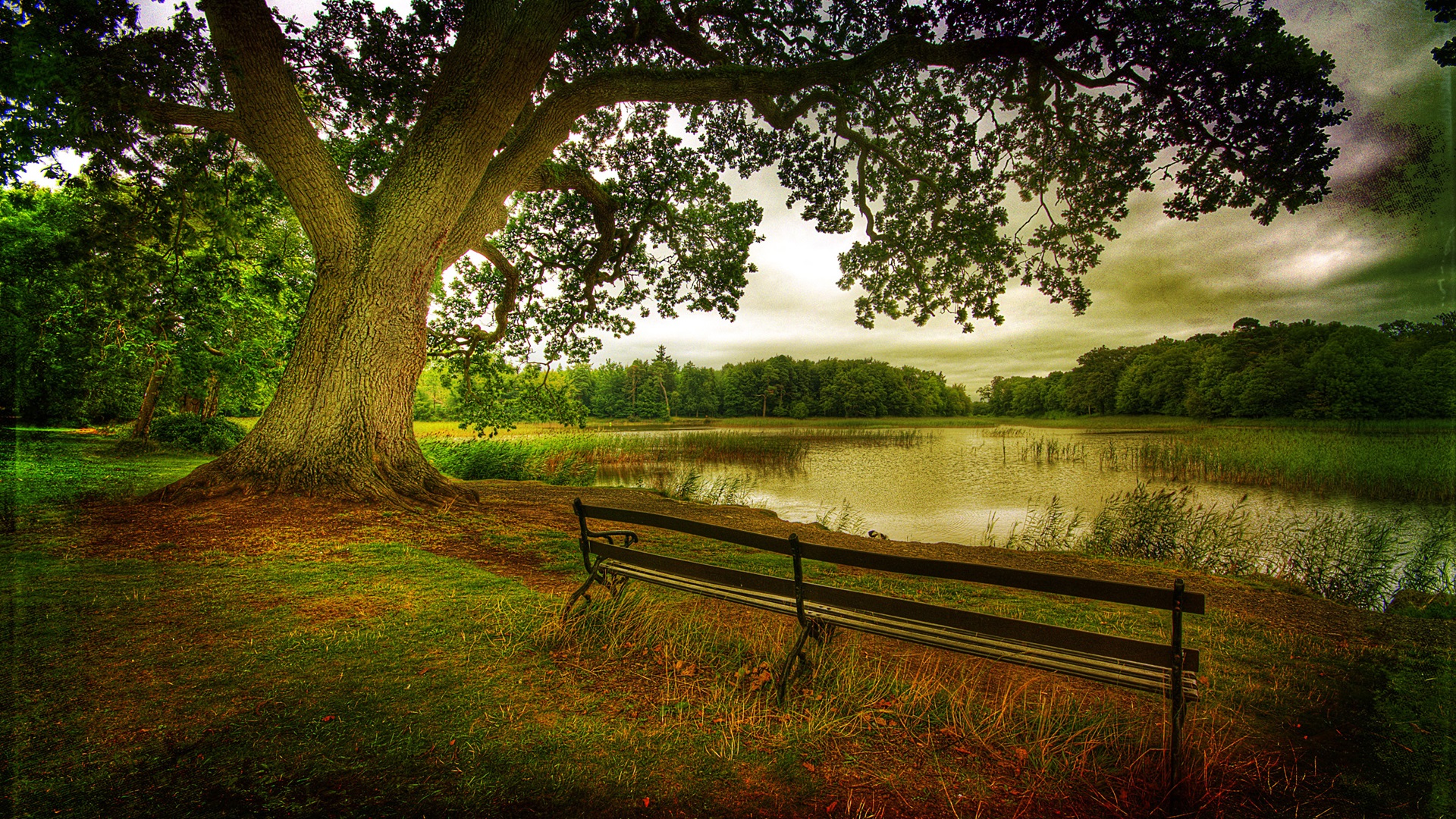 Free download wallpaper Sky, Tree, Earth, Bench, River on your PC desktop