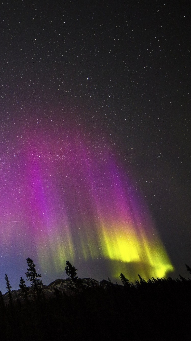 Descarga gratuita de fondo de pantalla para móvil de Cielo, Estrellas, Noche, Bosque, Aurora Boreal, Tierra/naturaleza.