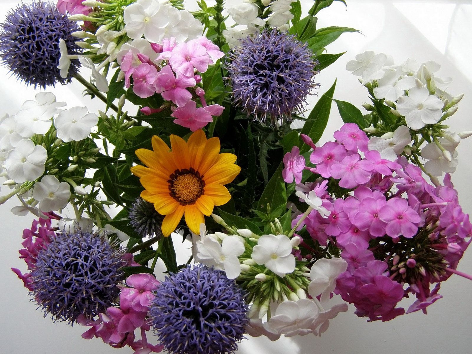62611 télécharger l'image fleurs, beauté, bouquet, composition - fonds d'écran et économiseurs d'écran gratuits
