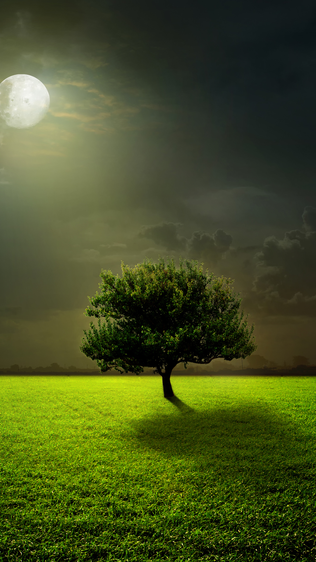 Download mobile wallpaper Trees, Grass, Moon, Tree, Earth, Full Moon for free.