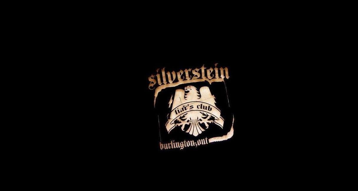 Descargar fondos de escritorio de Silverstein HD