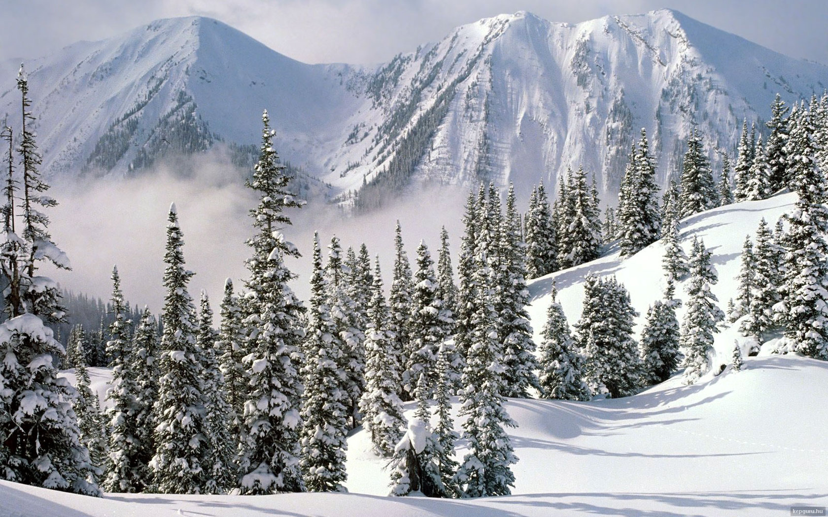 Téléchargez gratuitement l'image Hiver, Terre/nature sur le bureau de votre PC