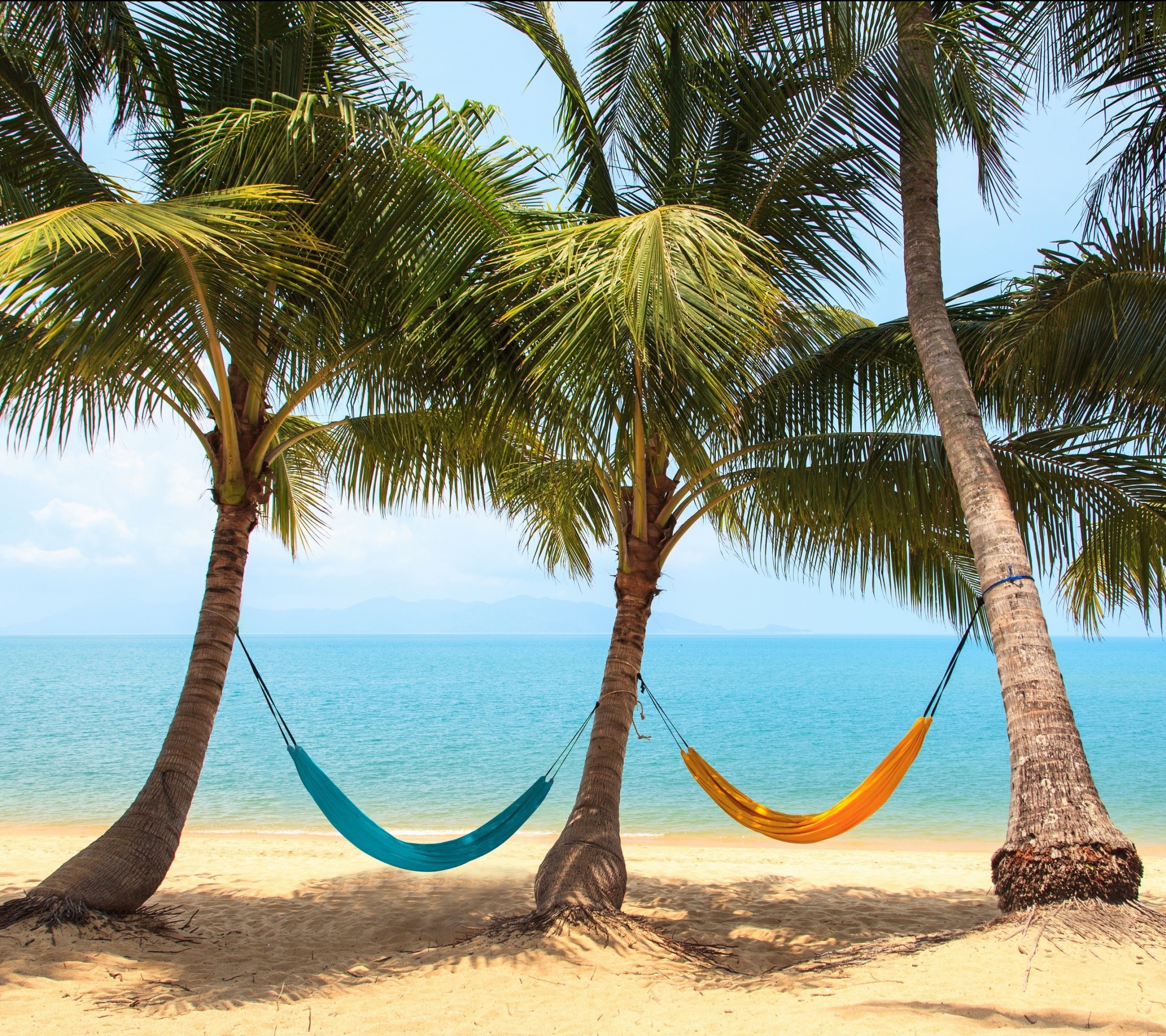 Free download wallpaper Sea, Beach, Holiday, Tropics, Photography, Hammock, Resting, Palm Tree on your PC desktop