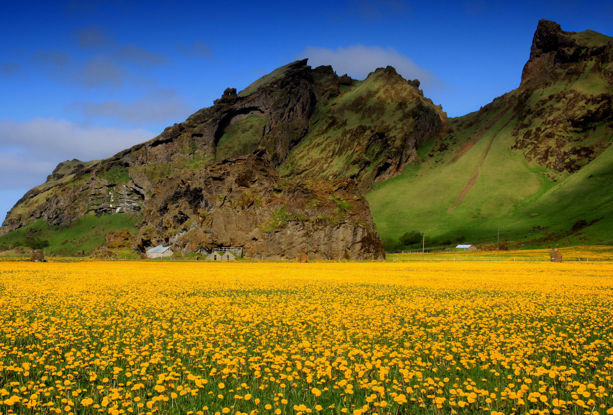 Download mobile wallpaper Flowers, Field, Scenic, Flower, Mountain, Earth, Cloud, Sky, Landscape for free.