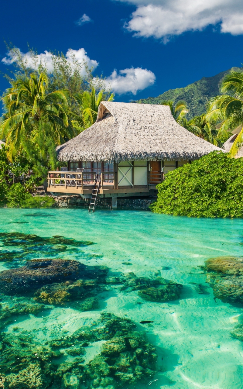Téléchargez des papiers peints mobile Tropiques, Lagune, Tropical, Photographie gratuitement.