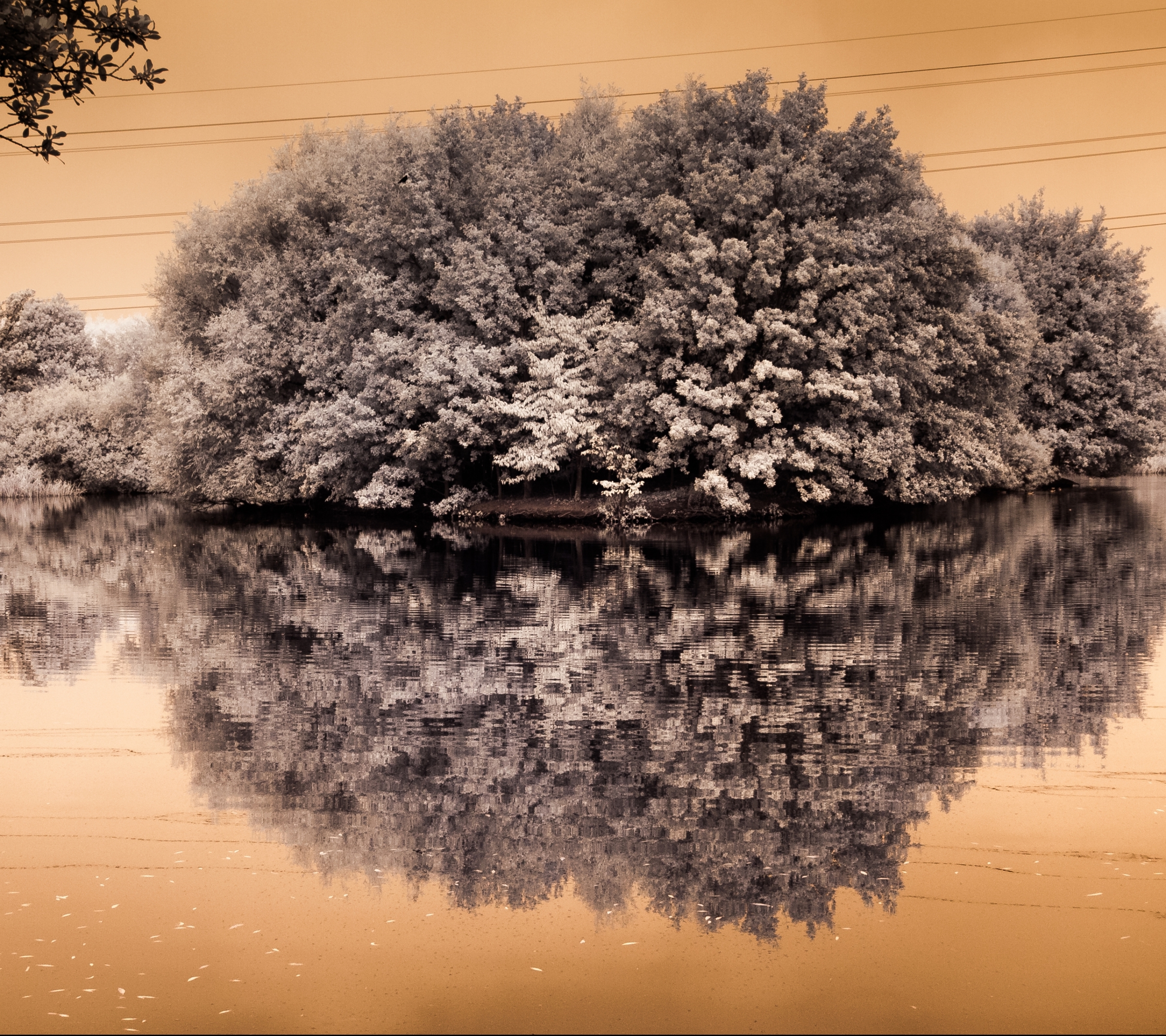 Handy-Wallpaper Natur, Wasser, See, Baum, Erde/natur, Spiegelung kostenlos herunterladen.