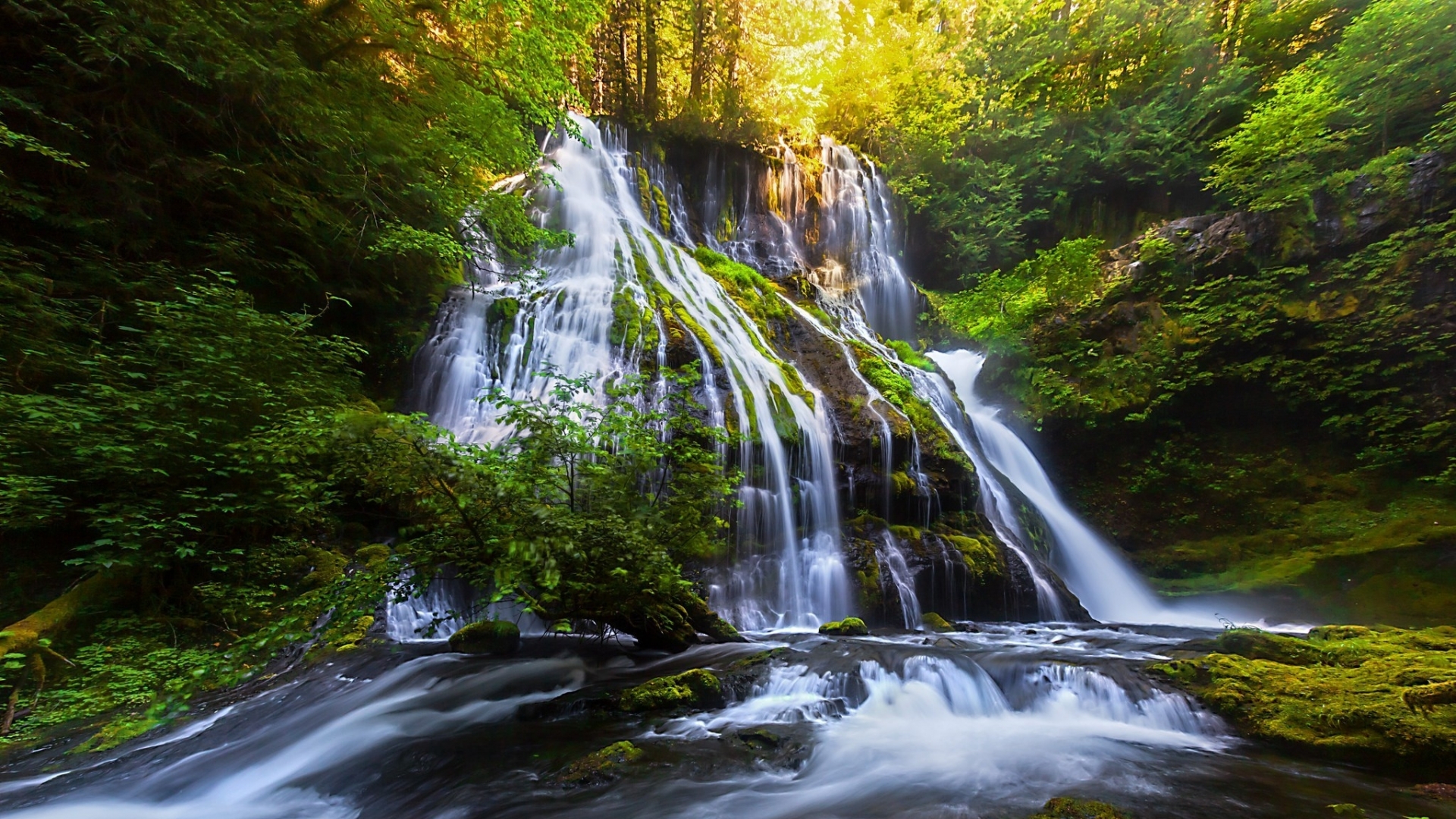 Handy-Wallpaper Wasserfall, Wasserfälle, Wald, Natur, Erde/natur kostenlos herunterladen.