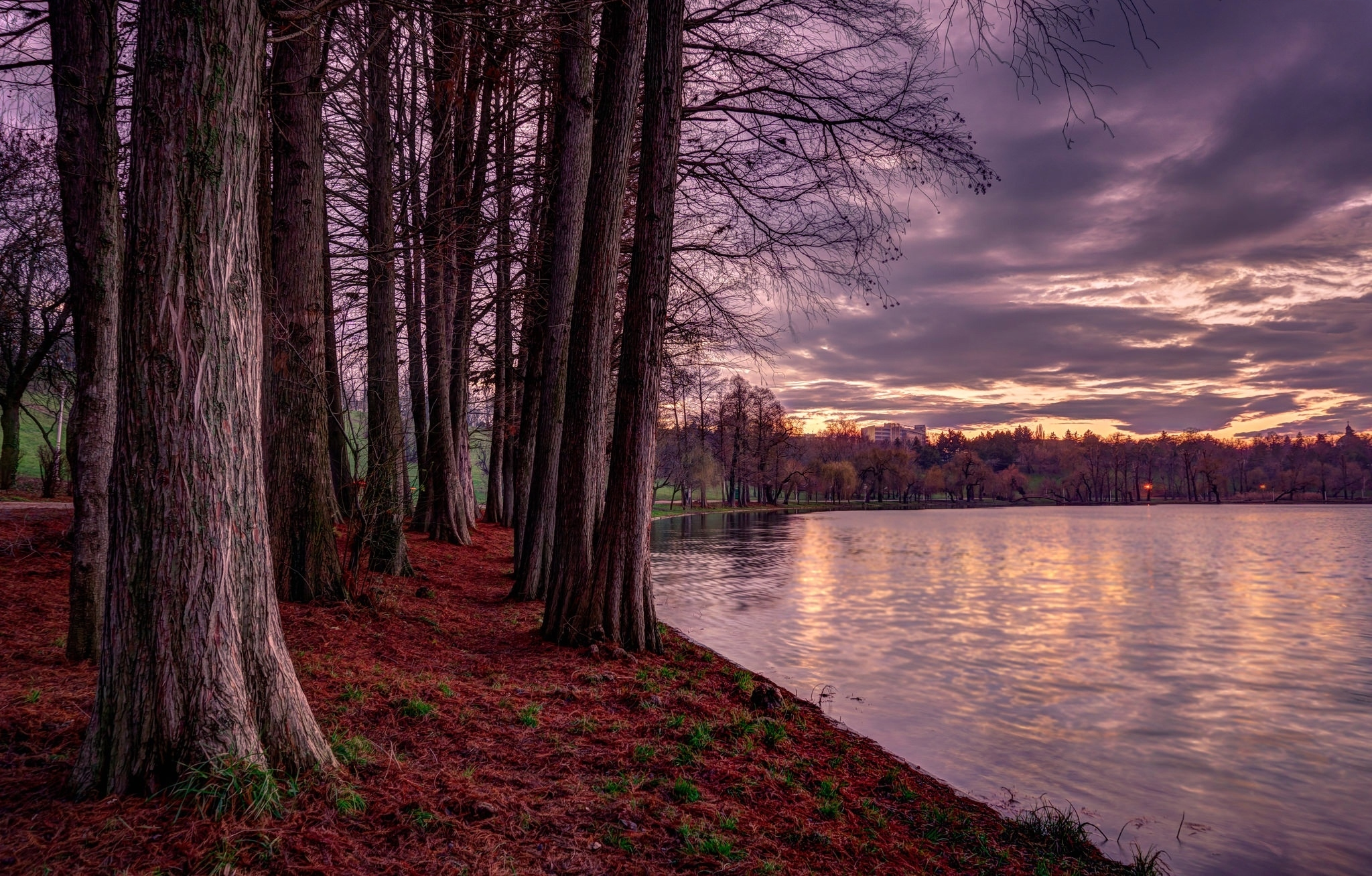 Baixe gratuitamente a imagem Outono, Lago, Parque, Árvore, Terra, Fotografia na área de trabalho do seu PC