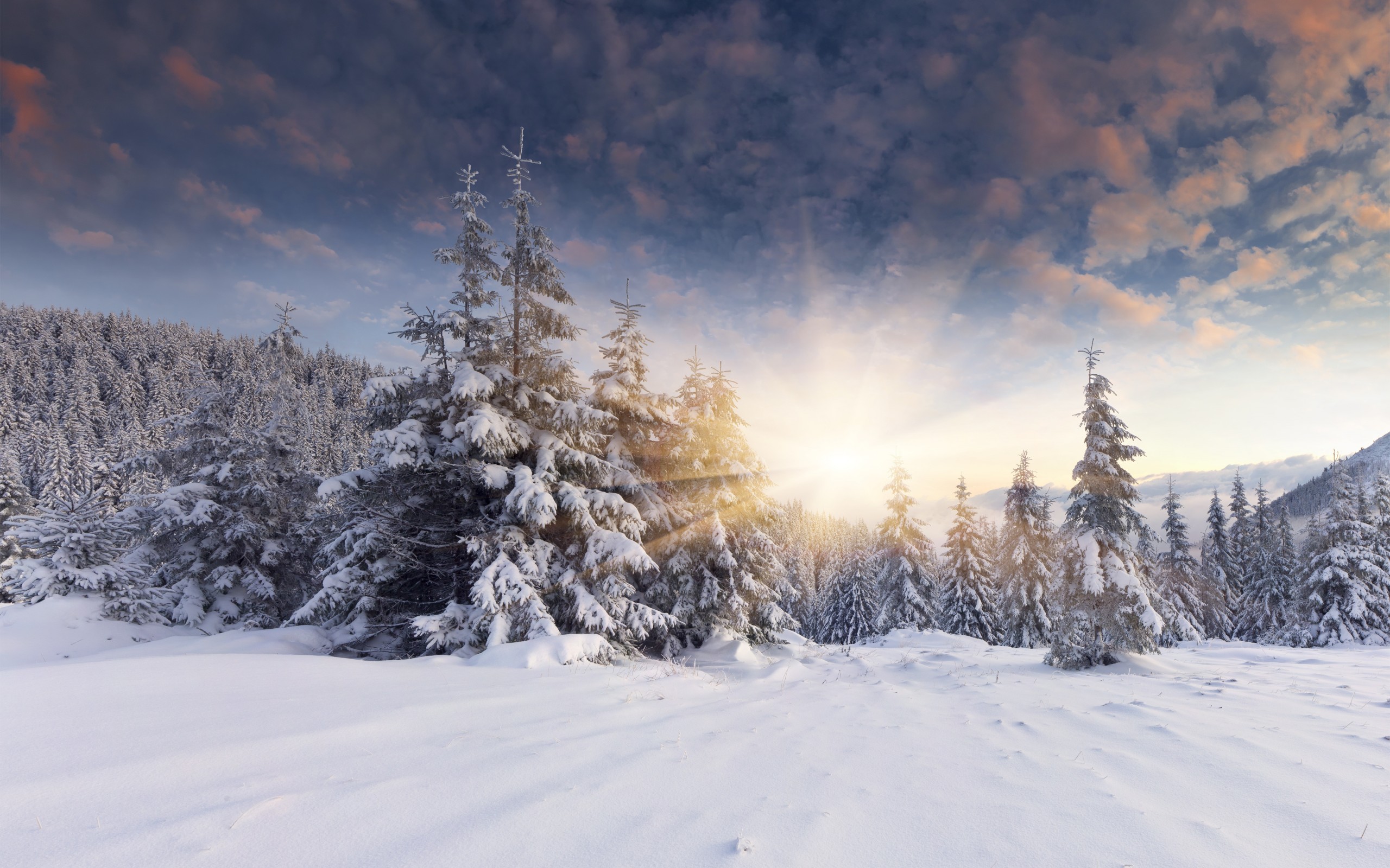 Free download wallpaper Winter, Earth on your PC desktop